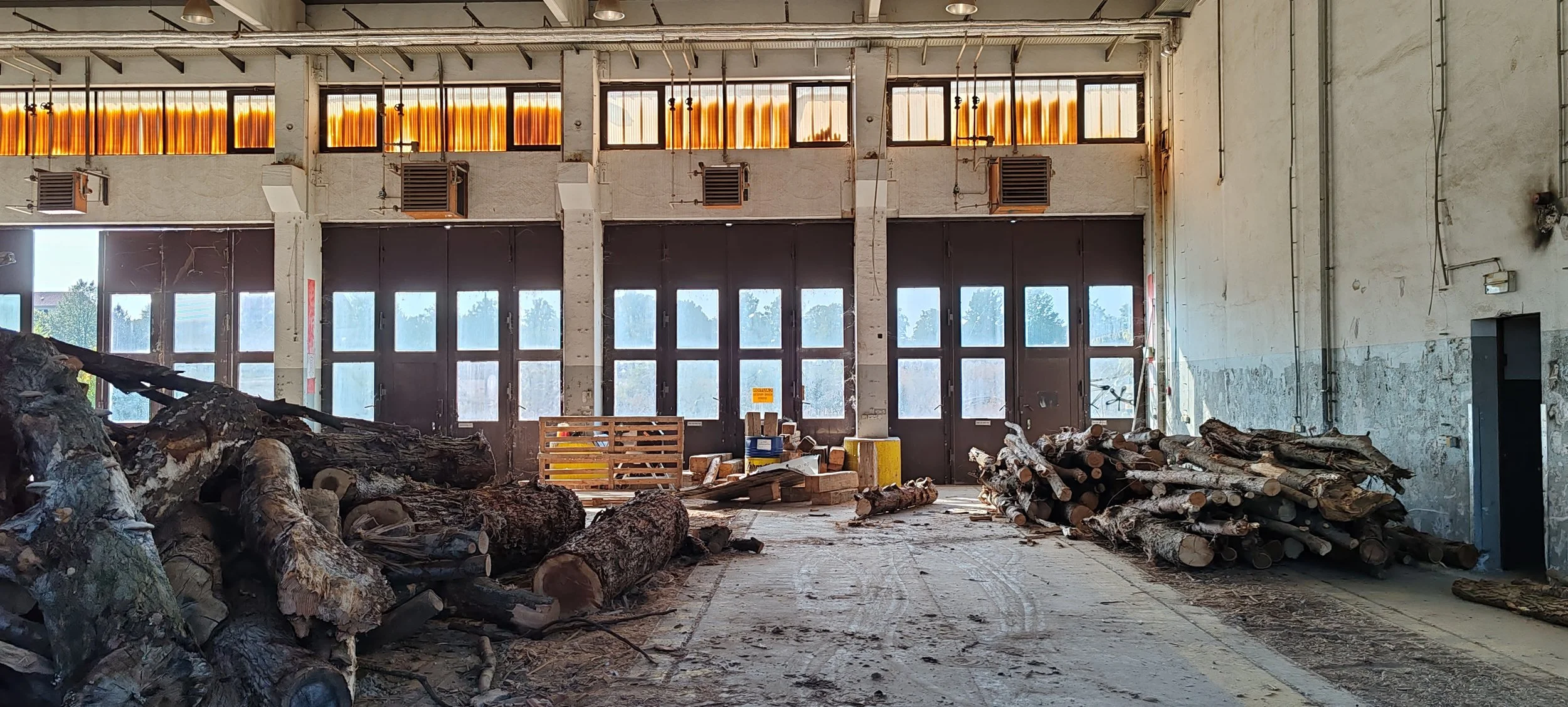 Innenansicht einer alten, verlassenen Halle mit Fenstern und Stapeln von Holzscheiten auf dem Boden.