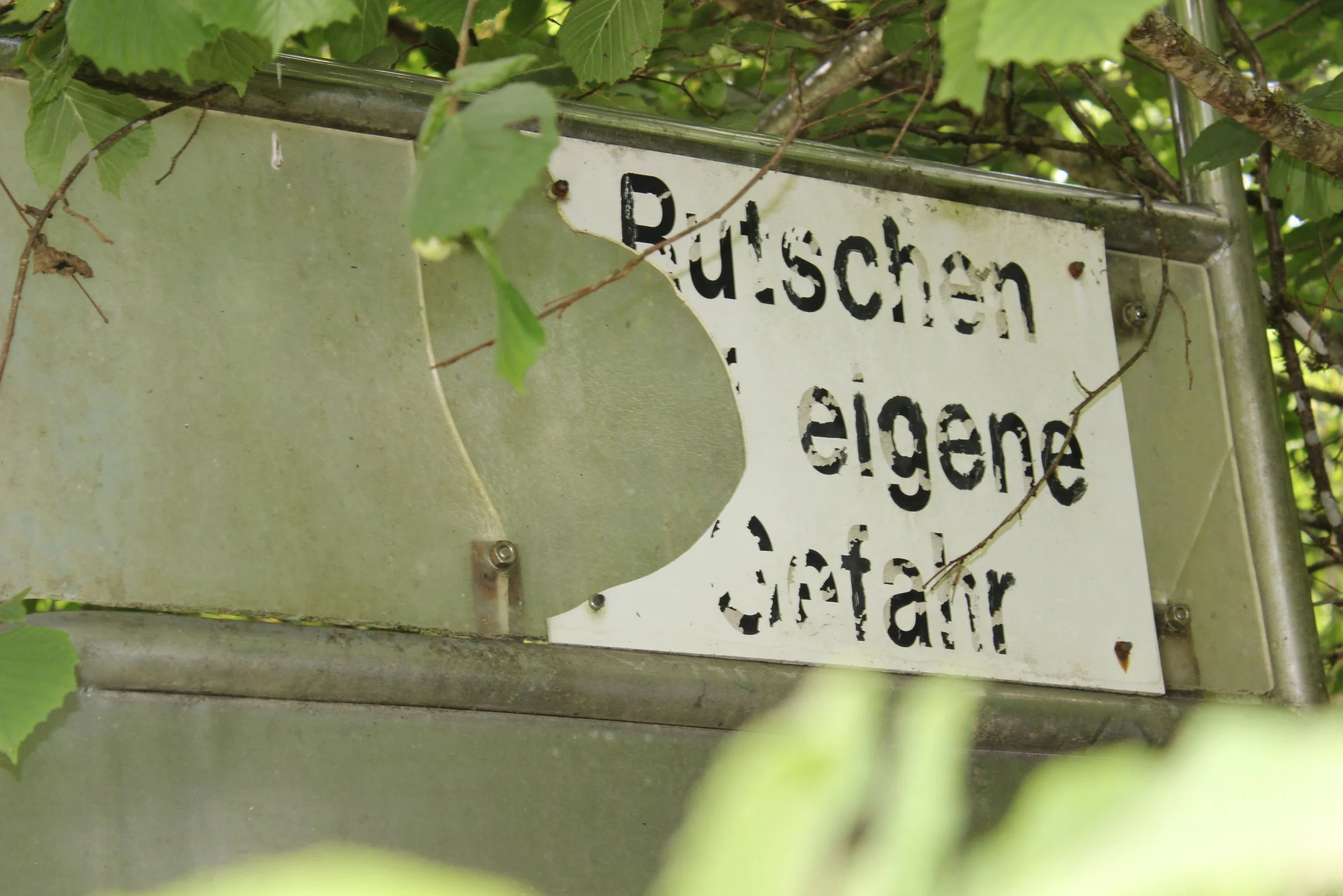 Verwittertes Verkehrsschild mit beschädigtem Aufkleber, teilweise von Blättern verdeckt