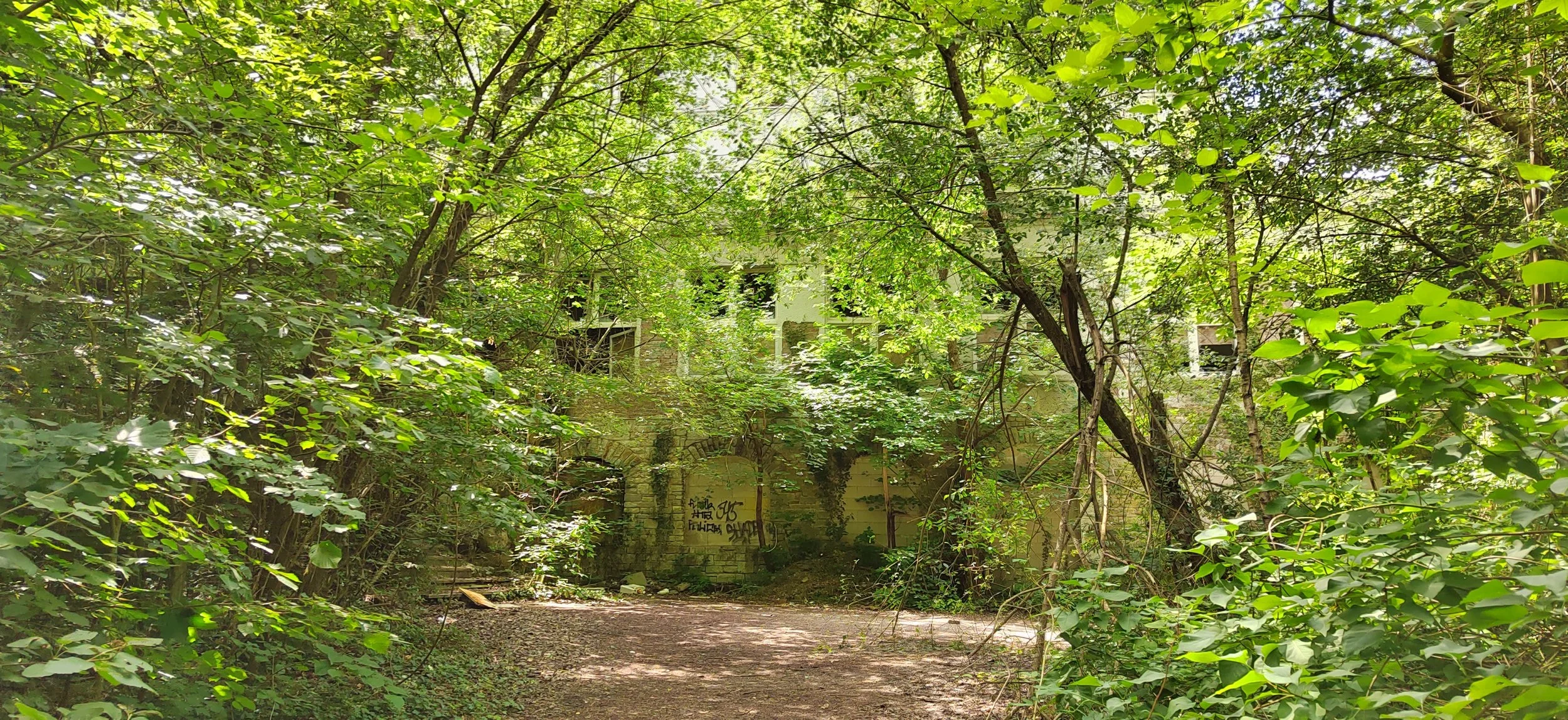 Verfallene Gebäude, von Bäumen und grünen Blättern überwuchert, in einem Wald
