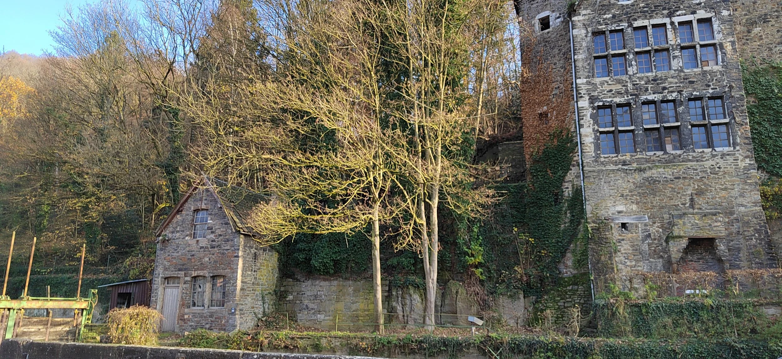 Altstadt mit alten Steinhäusern und Baum im Vordergrund, umgeben von Natur, bei Sonnenlicht.