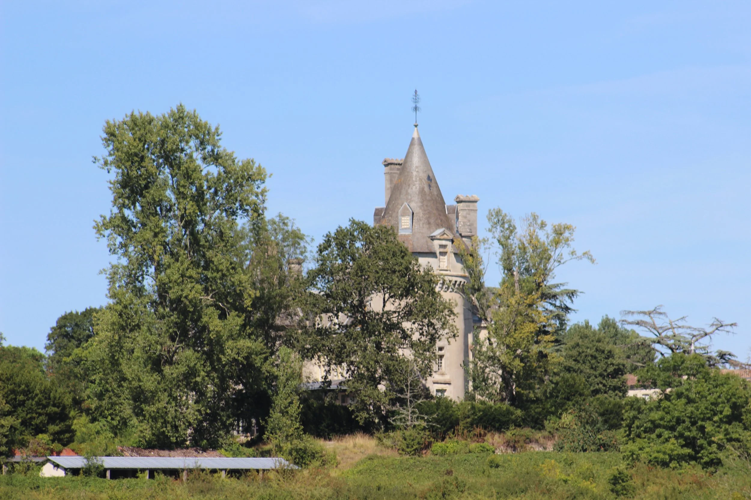 Mittelalterliches Schloss auf einem Hügel, umgeben von grünen Bäumen unter blauem Himmel.