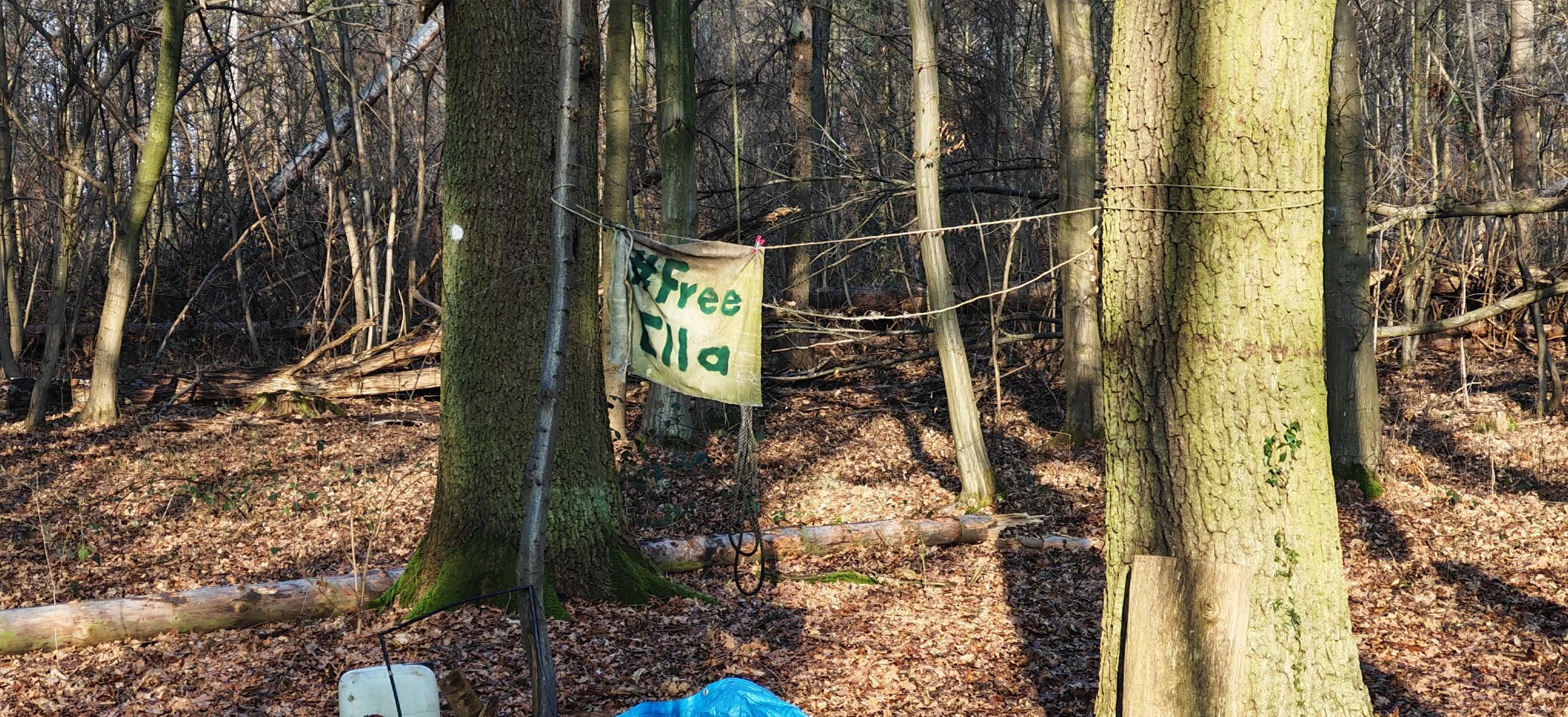 Ein Wald mit mehreren Bäumen, an einem Baum hängt ein handgemachtes Banner mit der Aufschrift 'Free Wild'. Im Vordergrund liegt eine blaue Plane und ein weißer Behälter auf dem Erdboden, der mit Laub bedeckt ist.