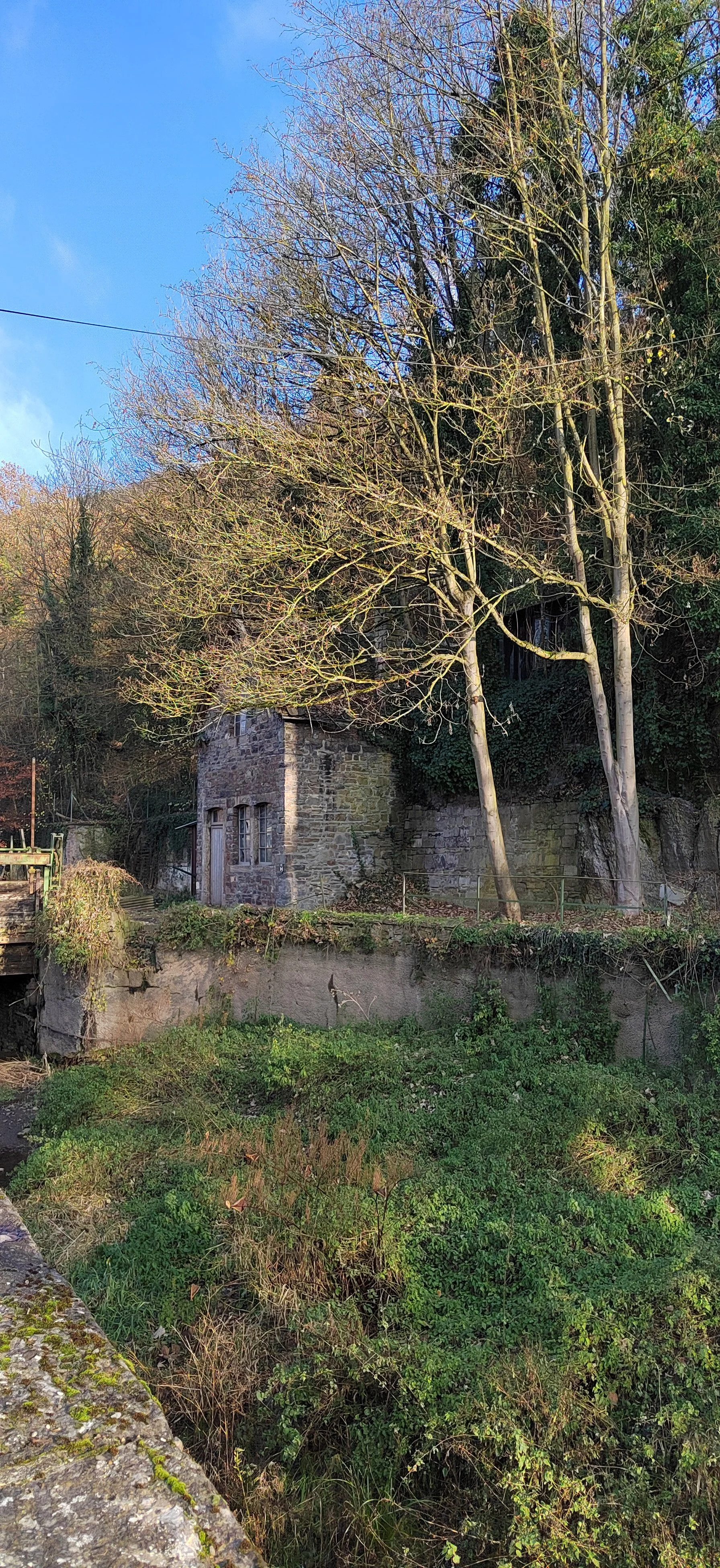 Ein altes Steinhaus im Grünen, umgeben von Bäumen und Sträuchern, bei sonnigem Wetter.