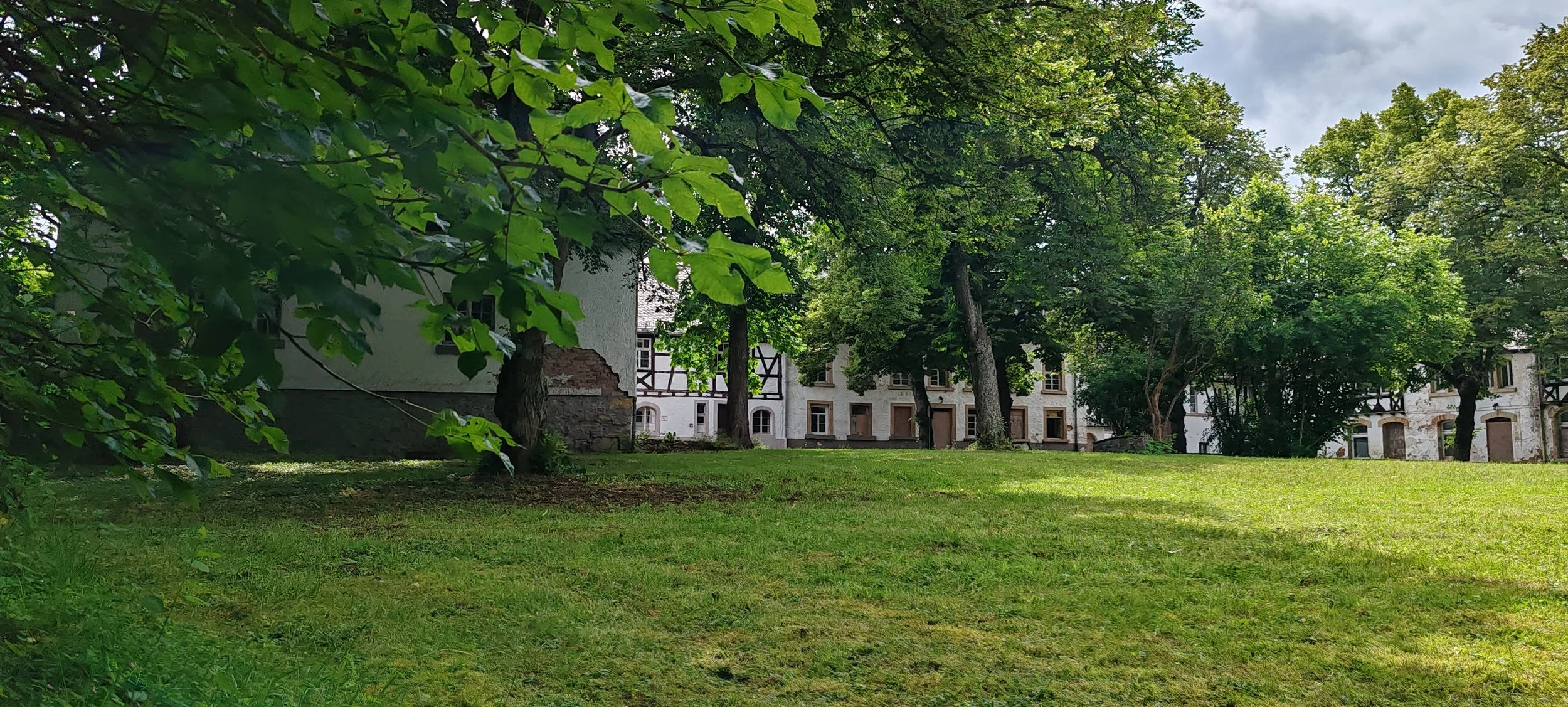 Grüner Rasen im Park mit Bäumen und alten weißen Gebäuden im Hintergrund, teilweise verdeckt durch Laub