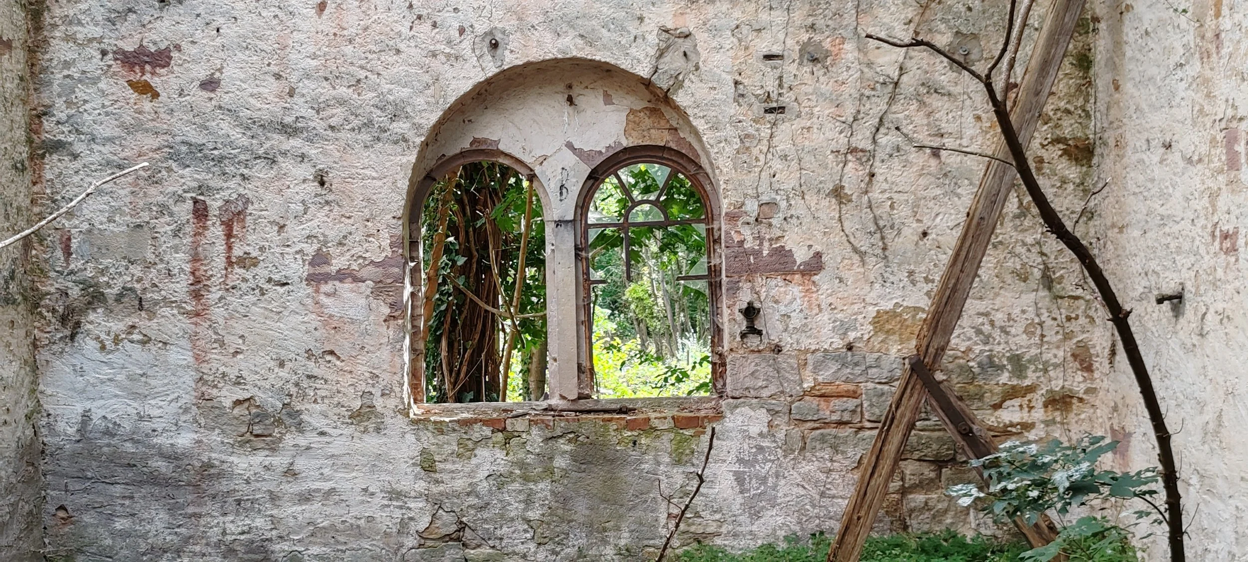 Verfallene Mauer mit zwei kleinen, alten Fenstern, umgeben von Pflanzen und altem Holz.