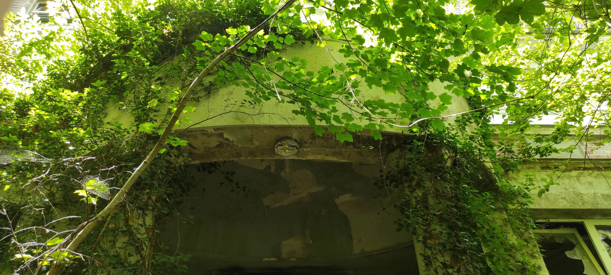 Ein Gebäude, das von grünen Blättern und Ranken überwuchert ist, mit einem überwachsenen Balkon und einer leeren Wand im unteren Bereich.