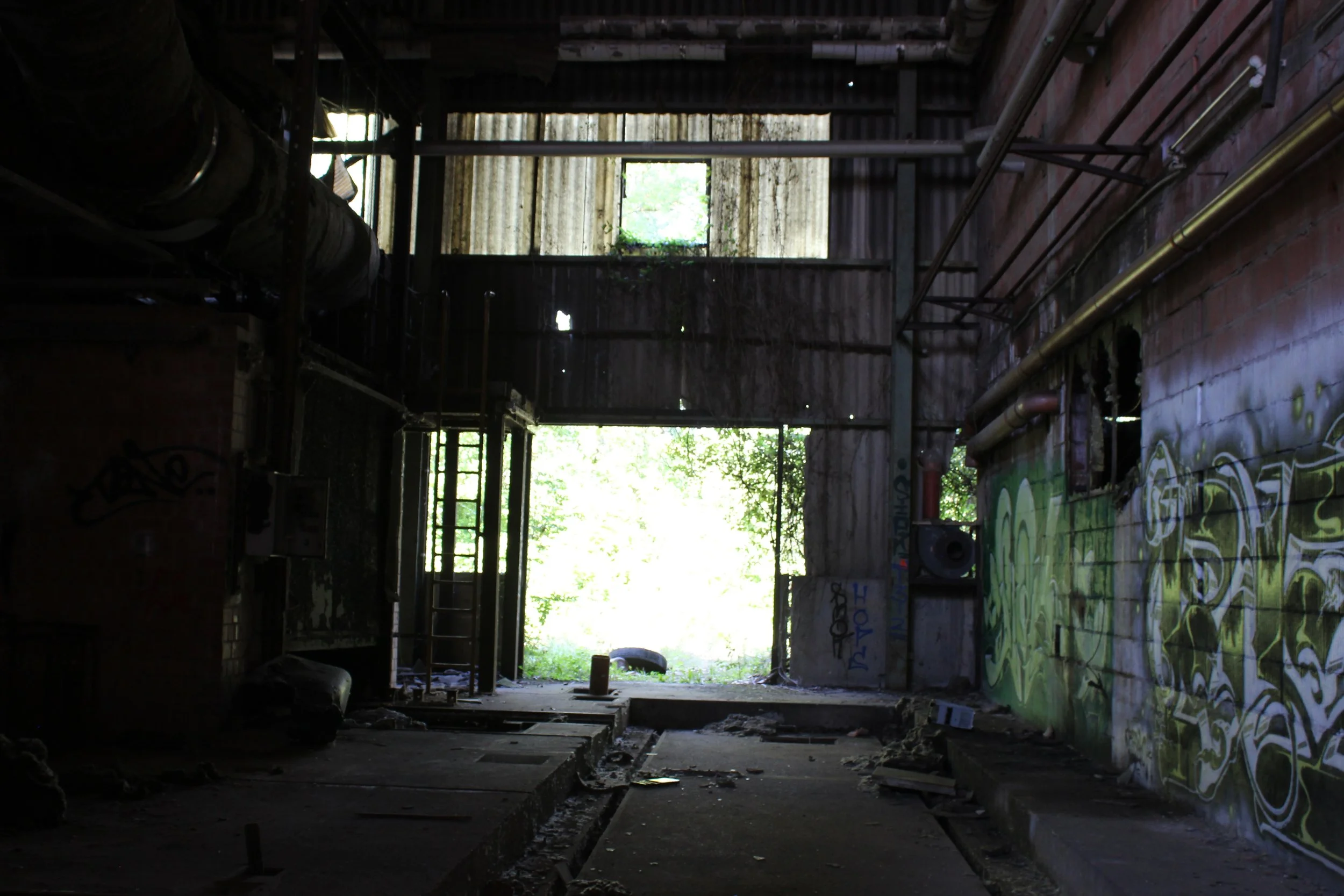 Innenansicht eines verlassenen, verfallenen Gebäudes mit Graffiti an den Wänden und einer offenen Tür, durch die grüne Natur sichtbar ist.