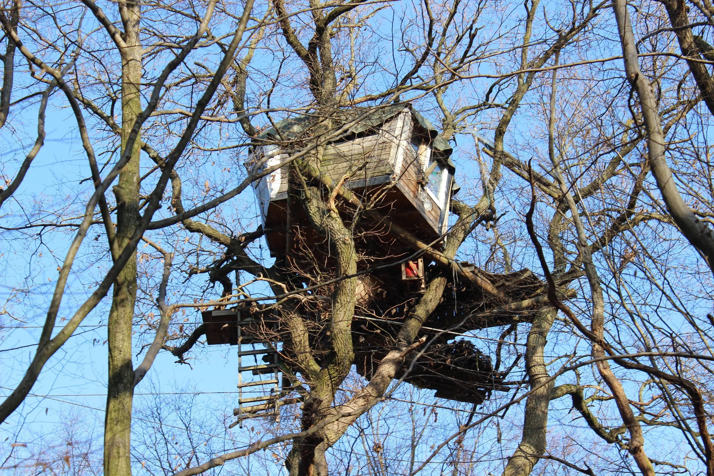 Ein Baumhaus in einem Baum ohne Blätter, das aus Holz gebaut ist.