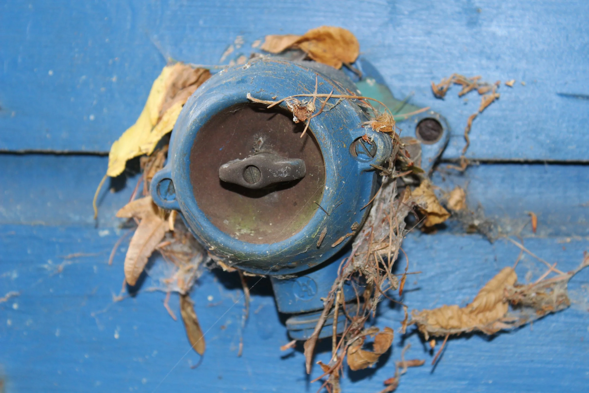Alter blauer Wasserhahn auf einer blauen Holzfläche, umgeben von getrockneten braunen Blättern und Staub.