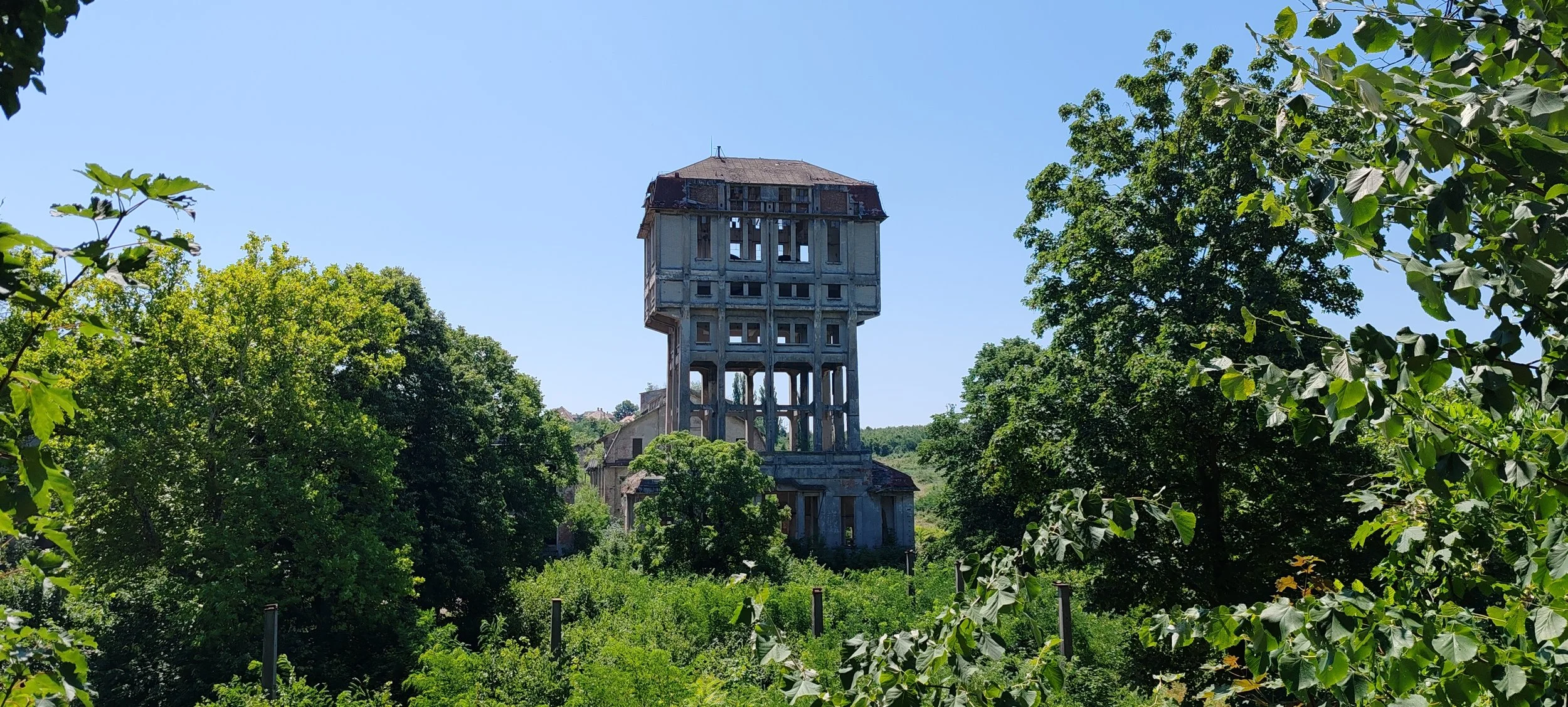 Ein verlassener Wasserturm inmitten von grünen Bäumen und Vegetation, im Hintergrund ein blauer Himmel.