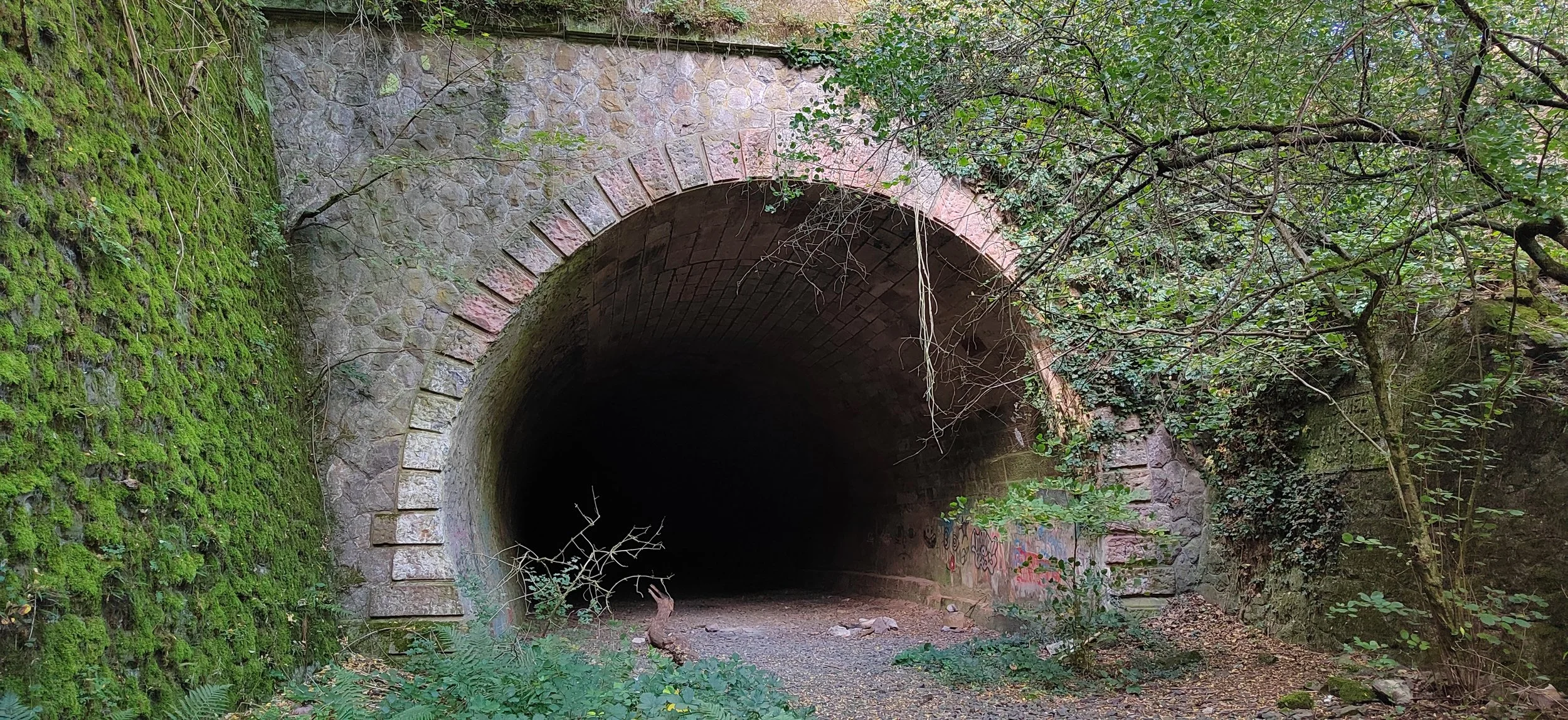 Ein Tunnel im Wald, umgeben von grünen Pflanzen und Moos an den Wänden, mit Graffiti an den Seiten.