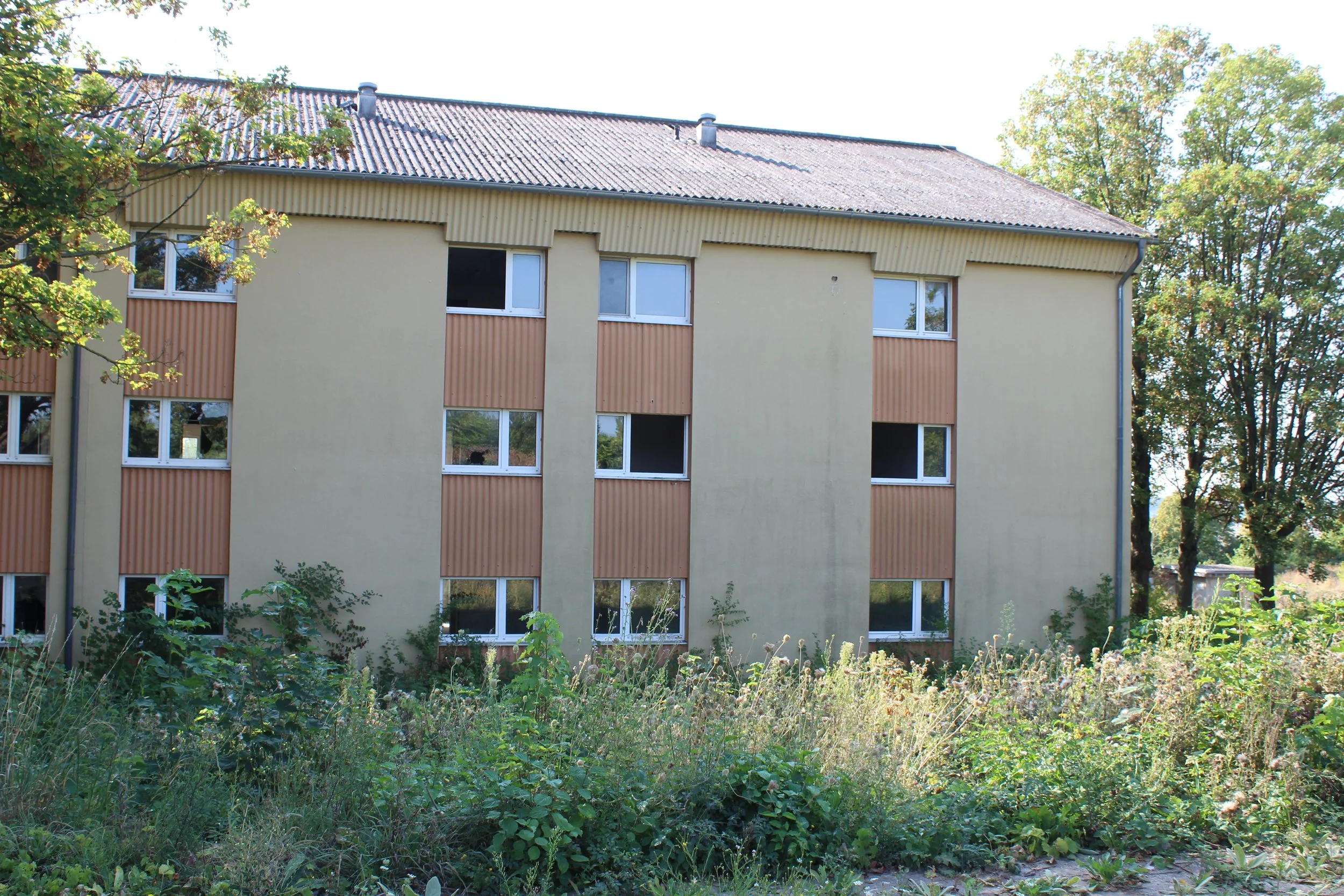 Mehrfamilienhaus mit gelben und braunen Fassaden, mehrere Fenster, umgeben von Bäumen und wildem Pflanzenwuchs im Vordergrund, an einem sonnigen Tag.
