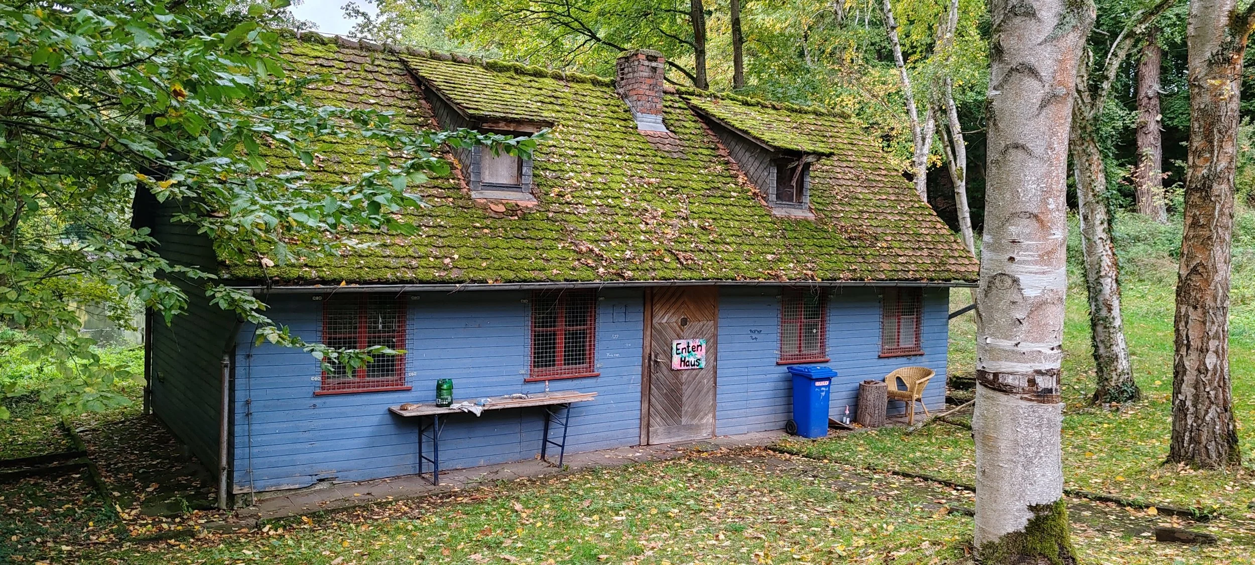 Ein altes, kleines Haus mit blauer Holzfassade, rot-gemusterten Fenstern und einem mit Moos bedeckten Ziegeldach im Wald. Es hat ein Schild an der Tür mit der Aufschrift ‚Eltern Haus‘, und vor dem Haus stehen ein blauer Mülleimer, ein Holztisch, eine