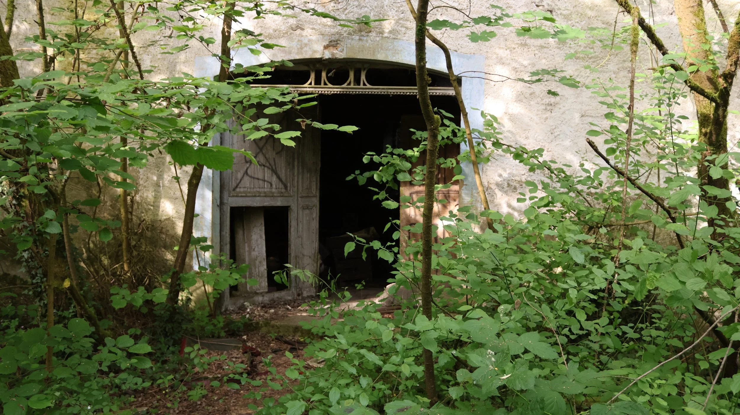 Altes, verfallenes Gebäude im dichten, grünen Bewuchs. Der Eingang ist offen und unheimlich, teilweise versteckt hinter Blättern und Ästen.