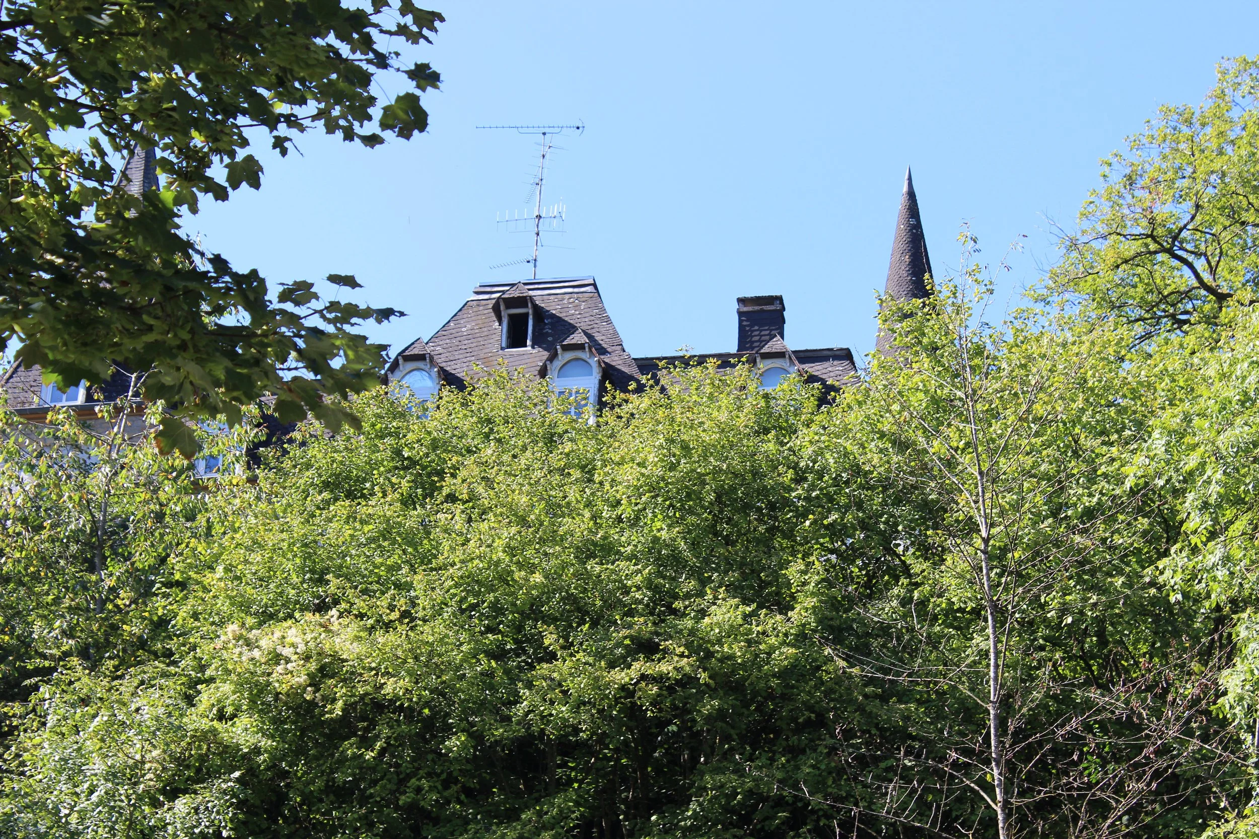 Ein grüner Baum, der die Sicht auf ein historisches Gebäude mit Türmen und Spitztürmen verdeckt, bei strahlendem Sonnenschein an einem klaren blauen Himmel.