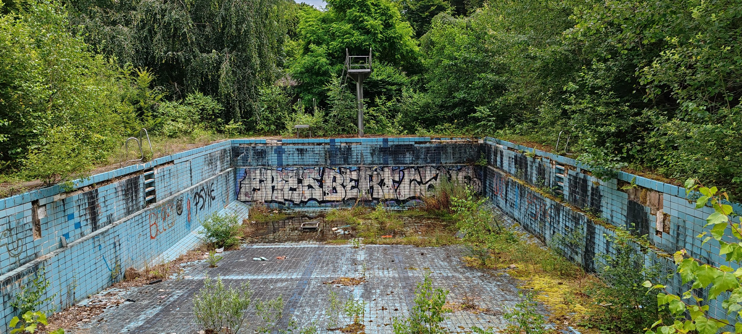 Eine verlassene, verfallene Schwimmbadanlage mit blauen Fliesen, Graffiti an den Wänden, überwuchert von Pflanzen und Moos, umgeben von dichten Bäumen und Büschen.