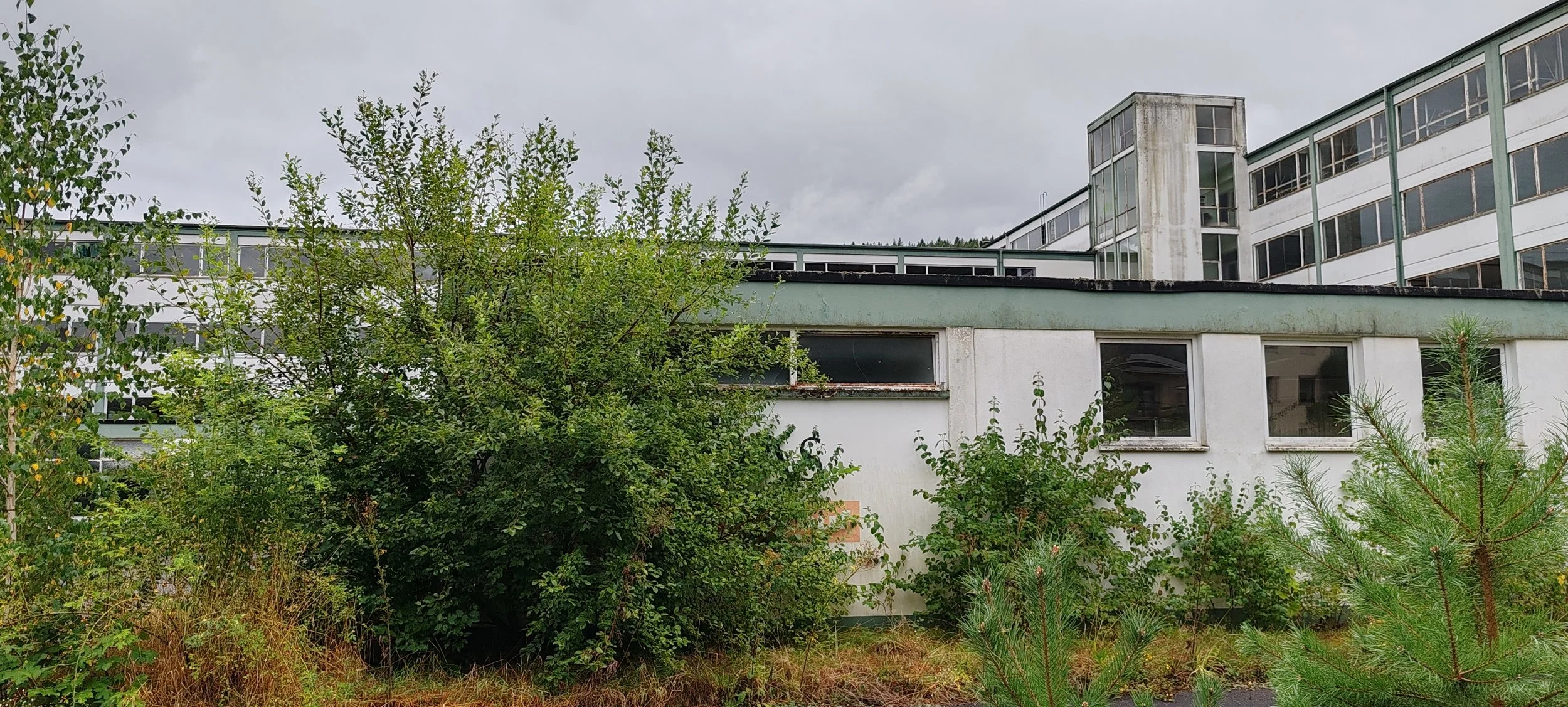 Ein mehrstöckiges Gebäude mit großen Fenstern, umgeben von grünen Büschen und Bäumen, unter bewölktem Himmel.