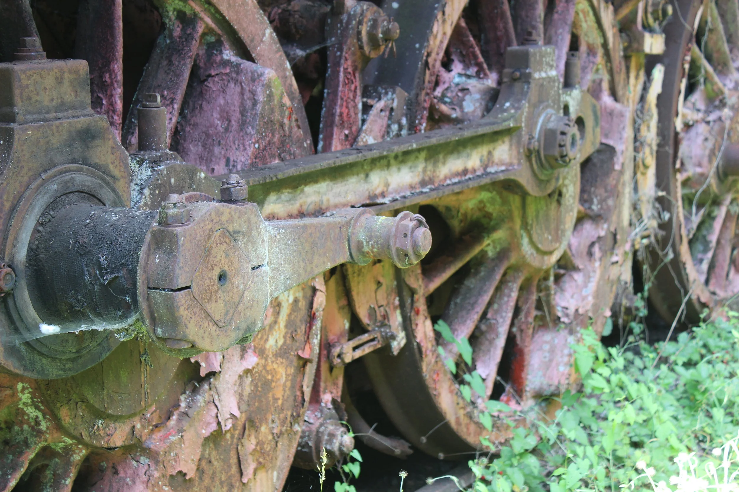 Alte, rostige Maschinenteile und Räder, überwuchert von Pflanzen im Freien.