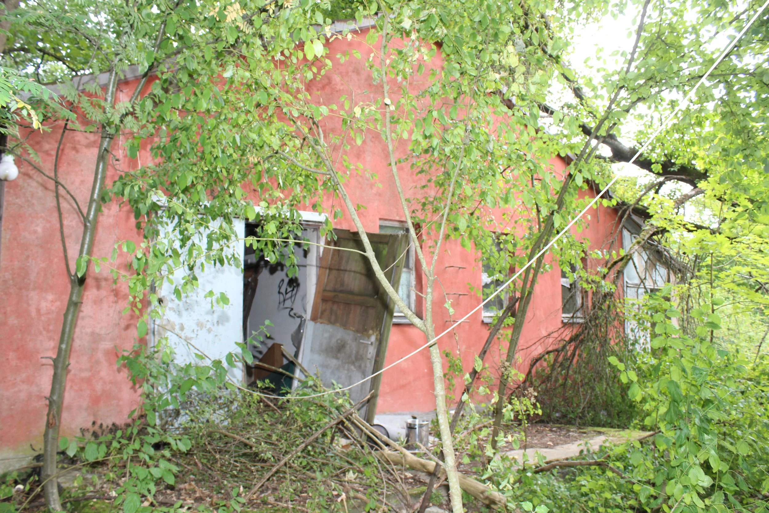 Haus mit rosa Außenwand, umgeben von grünen Bäumen und Ästen, mit einer offenen Tür und beschädigten Fenstern.
