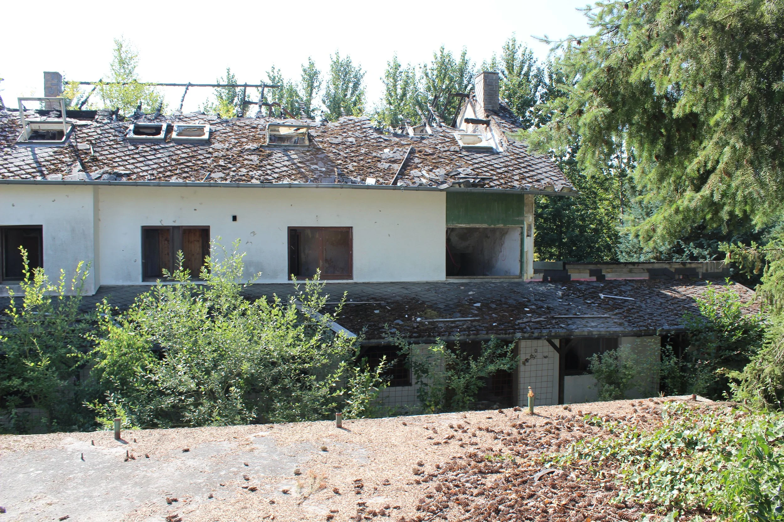Ein Haus mit beschädigtem, teilweise zerstörtem Dach und Fenstern, umgeben von Bäumen und Sträuchern.