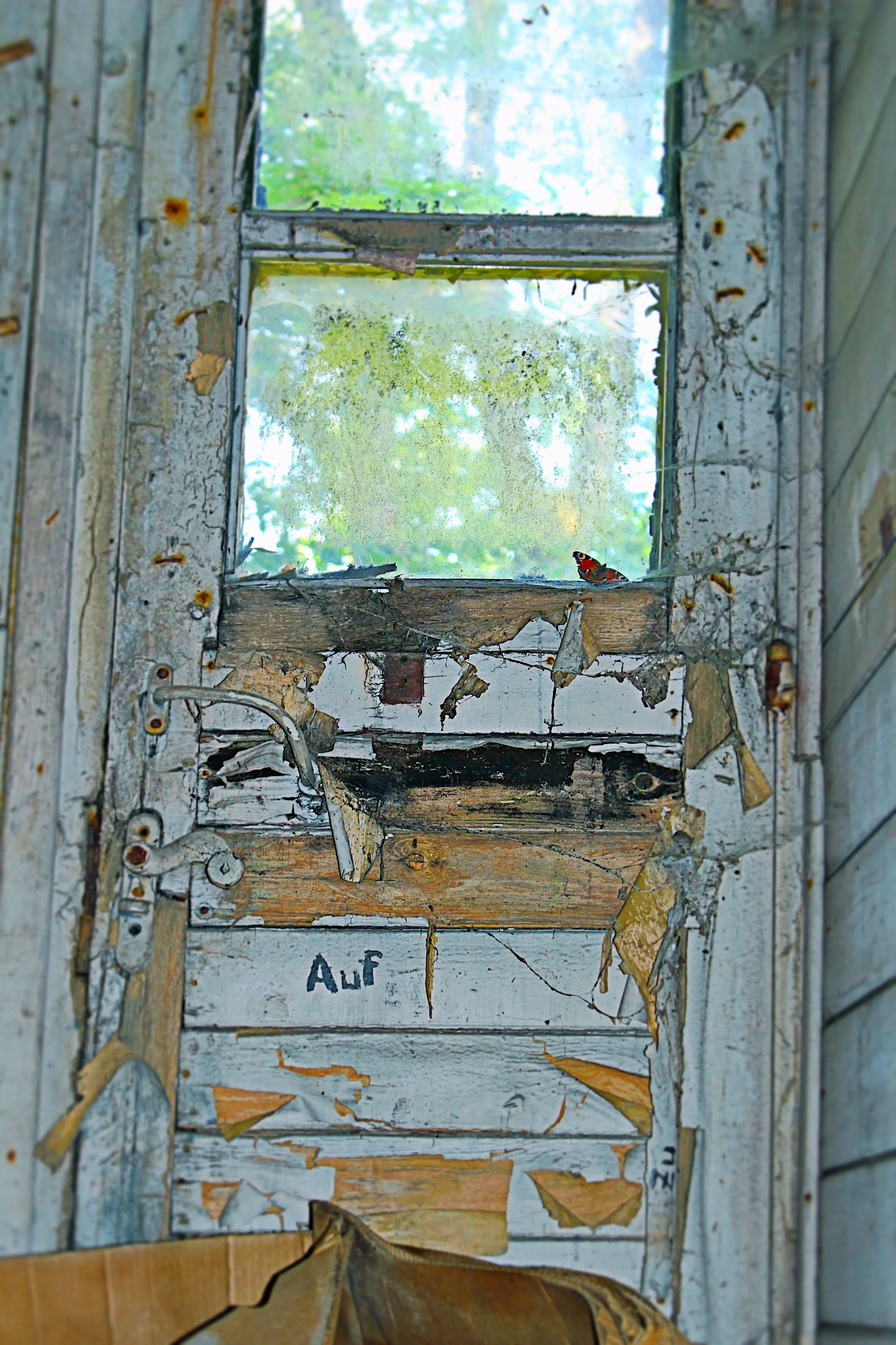 Alte, verrottete Fenster in einem verfallenen Gebäude, mit beschädigtem Rahmen und zerbrochenem Glas, Blick nach draußen auf grünes Laub und Himmel, mit schwarzer Aufschrift 'Auf' auf der Wand darunter.