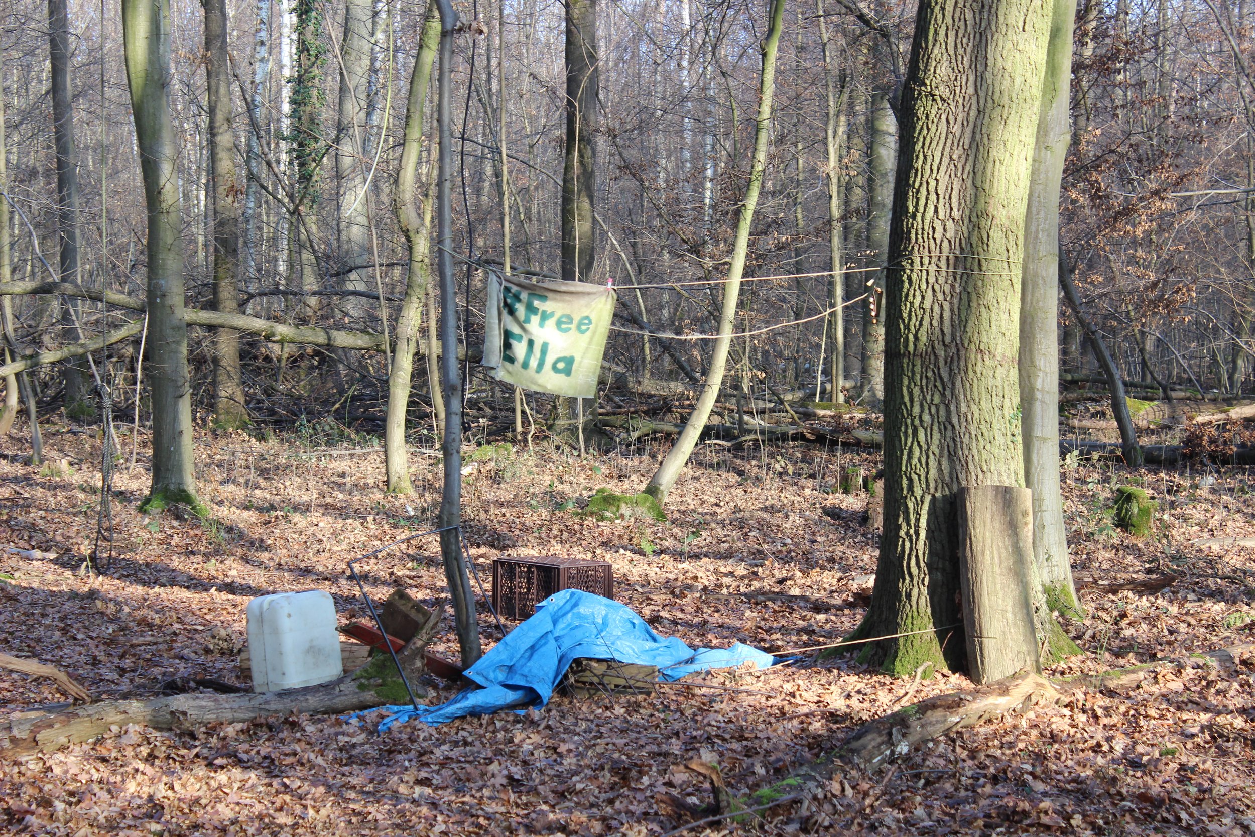 Unordentlicher Waldplatz mit Müll und einem Stoffbanner, auf dem 'Free Ella' steht.