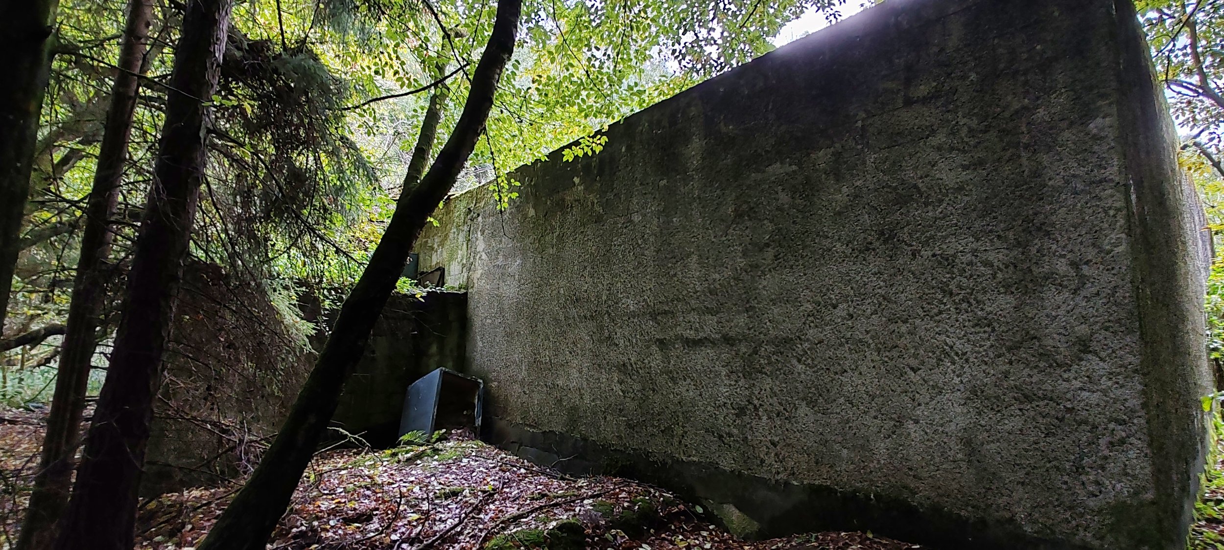 Ein großes, braunes Betonblock im Wald, mit Büschen und Bäumen im Hintergrund.
