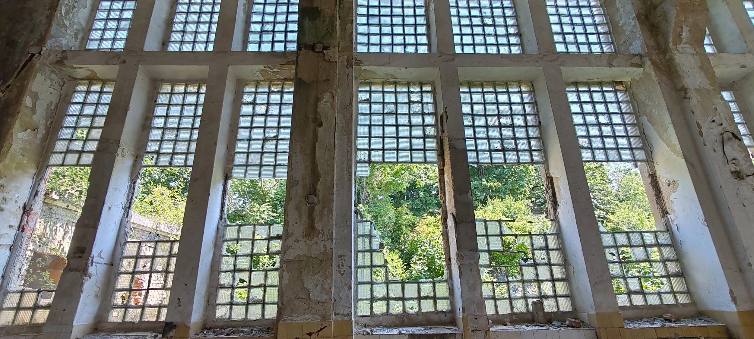 Rückansicht eines verlassenen und verfallenen Gebäudes mit großen Fenstern aus Glasblöcken, durch die man grüne Bäume und Natur draußen sehen kann.