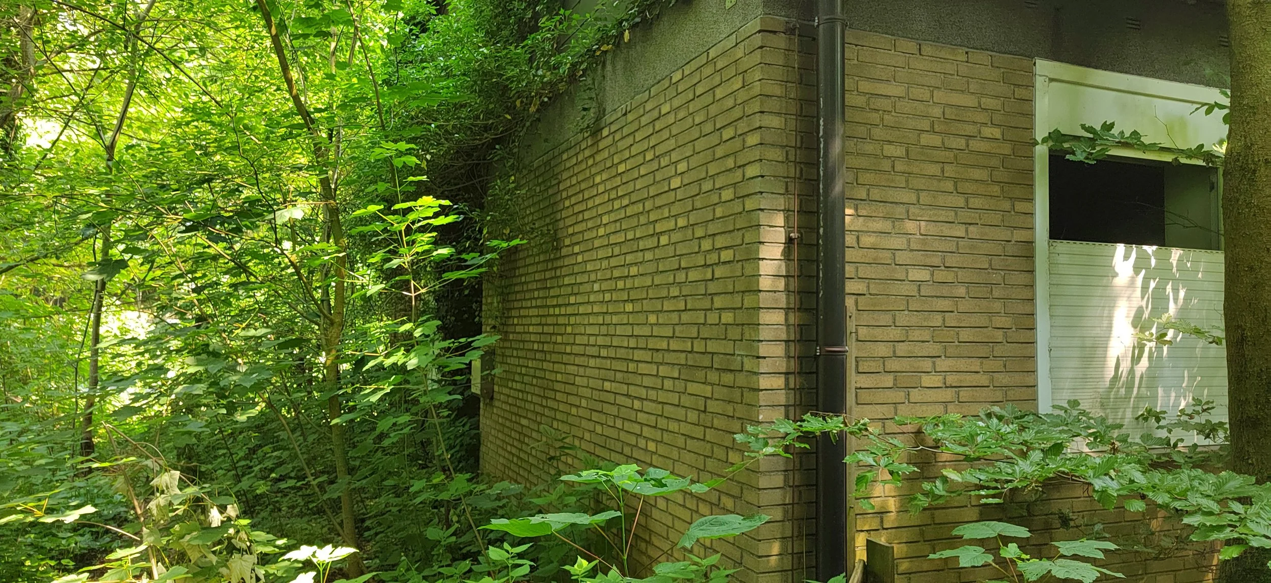 Ein Haus mit gelben Ziegelwänden, umgeben von üppigem Grün und Bäumen, mit einem rechteckigen Fenster und einem schwarzen Fallrohr an der Wand.