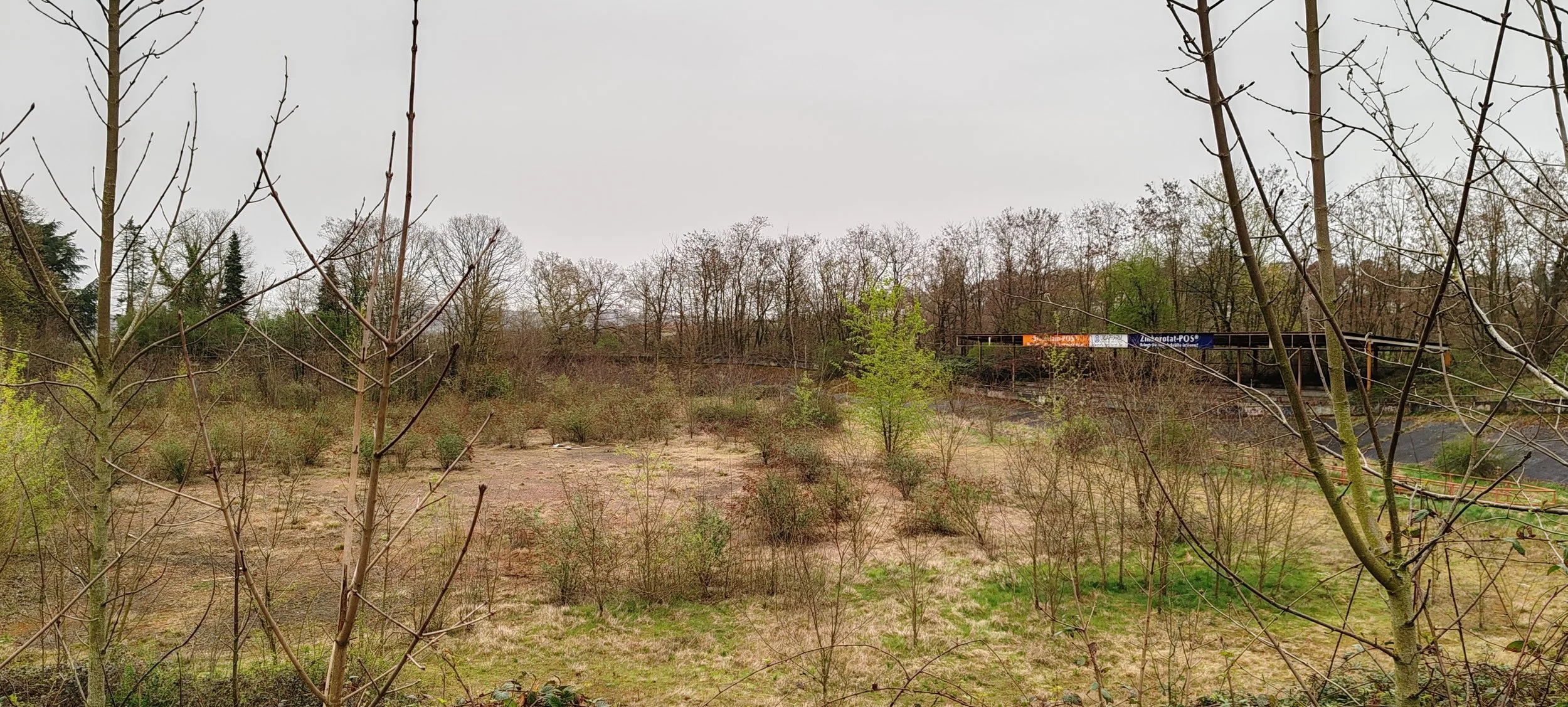 Blick auf ein Gelände mit wenigen Bäumen und Sträuchern, im Hintergrund ein stillgelegtes Bahngleis mit einem abgestellten Zug und einem Schild.