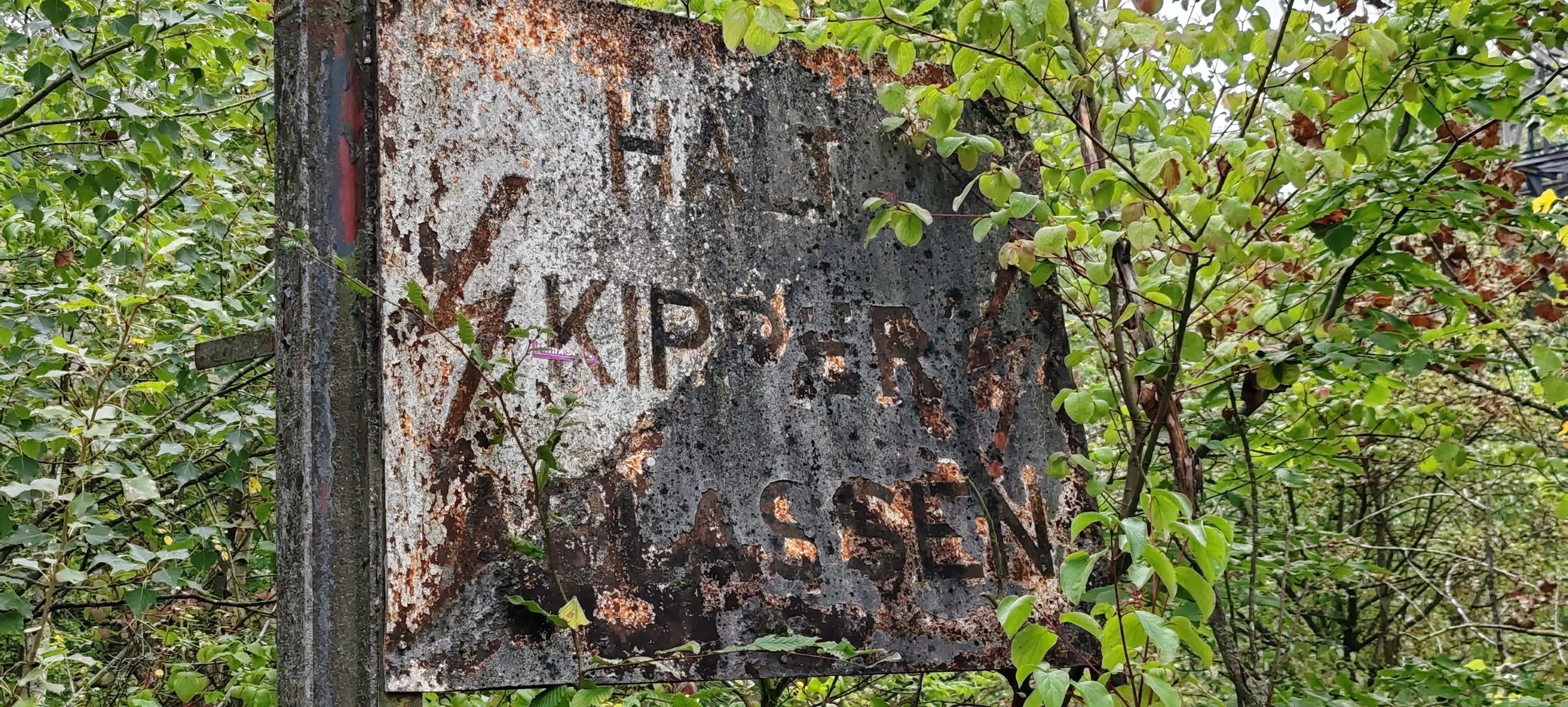 Ein alter, verrosteter Straßenschild, das teilweise von Blättern und Zweigen überwuchert ist.