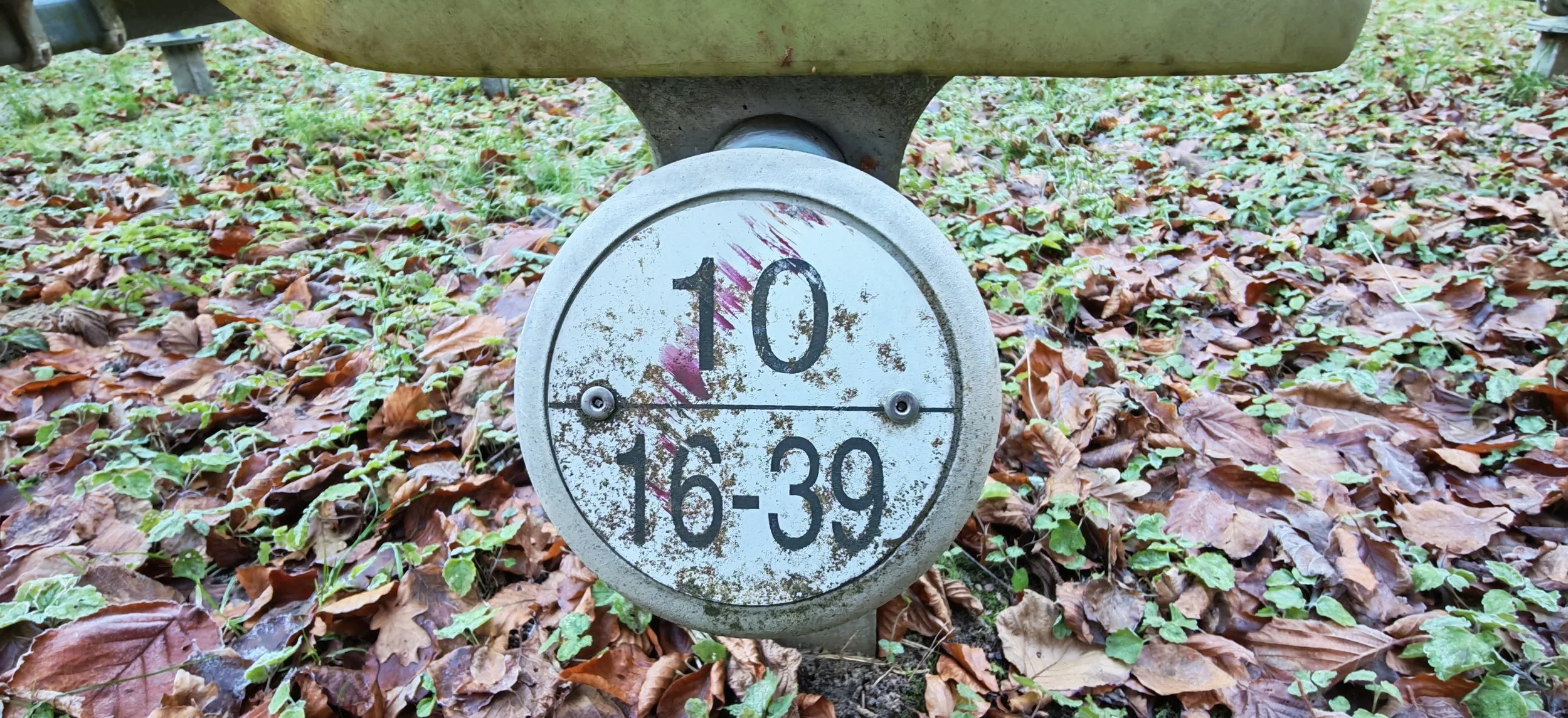 Sicht auf eine runde, graue Uhrenanzeige im Freien, die 10 Uhr und 16:39 zeigt, umgeben von herabfallenden braunen und grünen Blättern auf dem Boden.