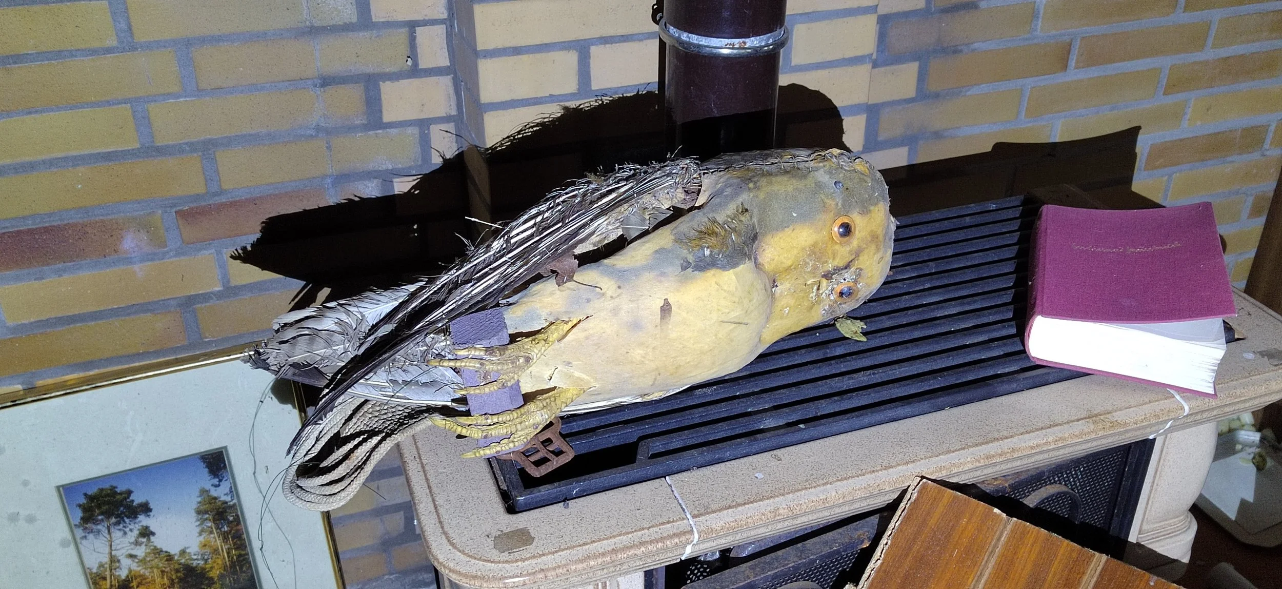 Ein toter Vogel liegt auf einem Grill neben einem aufgeschlagenen Buch auf einem Tisch im Innenraum. Ein Bild von Bäumen ist im unteren linken Bildrand zu sehen.