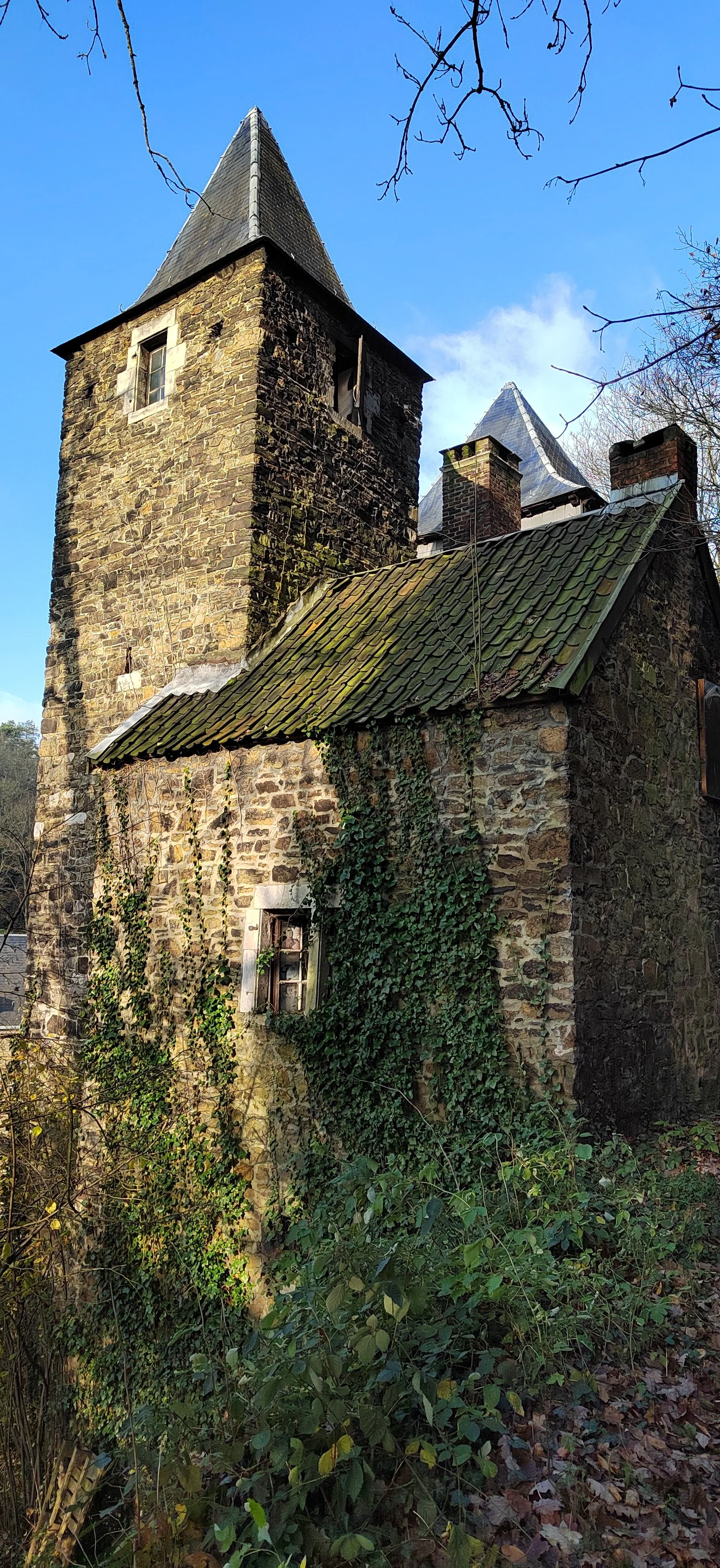 Altes Steinhaus mit Rüben, kleinen Fenstern und einem hohen Turm, überwuchert von Efeu, bei bewölktem Himmel.
