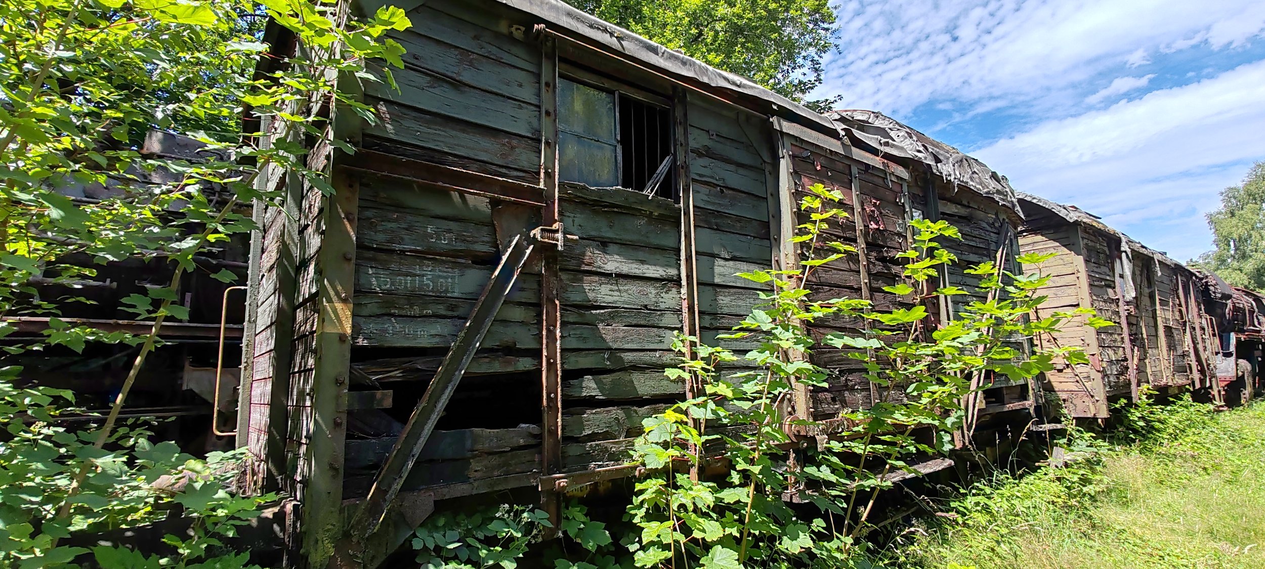 Alte, verfallene Güterwagen in einem grünen, bewachsenen Gebiet unter blauem Himmel mit Wolken.