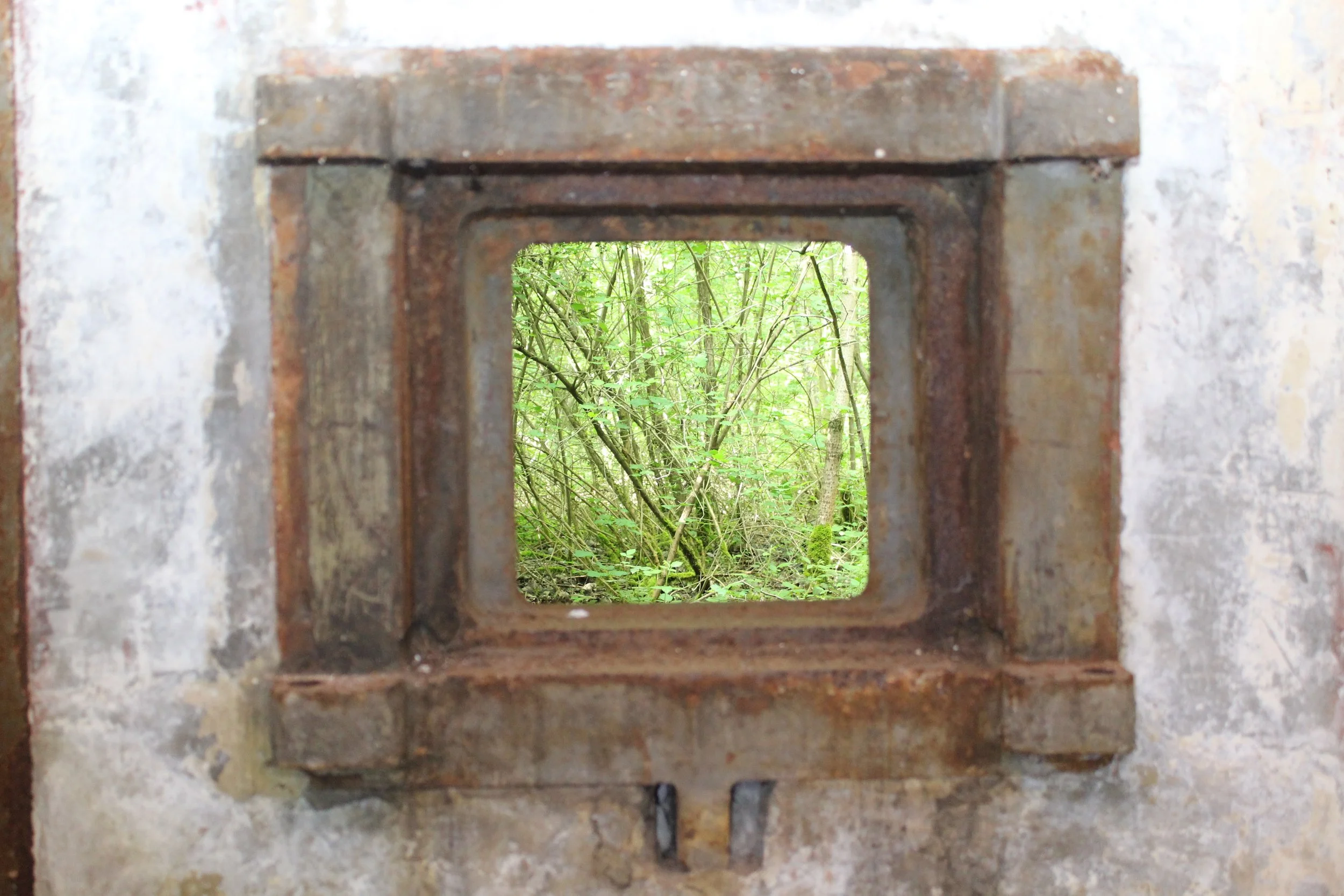 Blick durch ein kleines, rechteckiges Loch in einer alten, verrosteten Metallwand auf grünes, dicht bewachsenes Gebüsch im Wald.