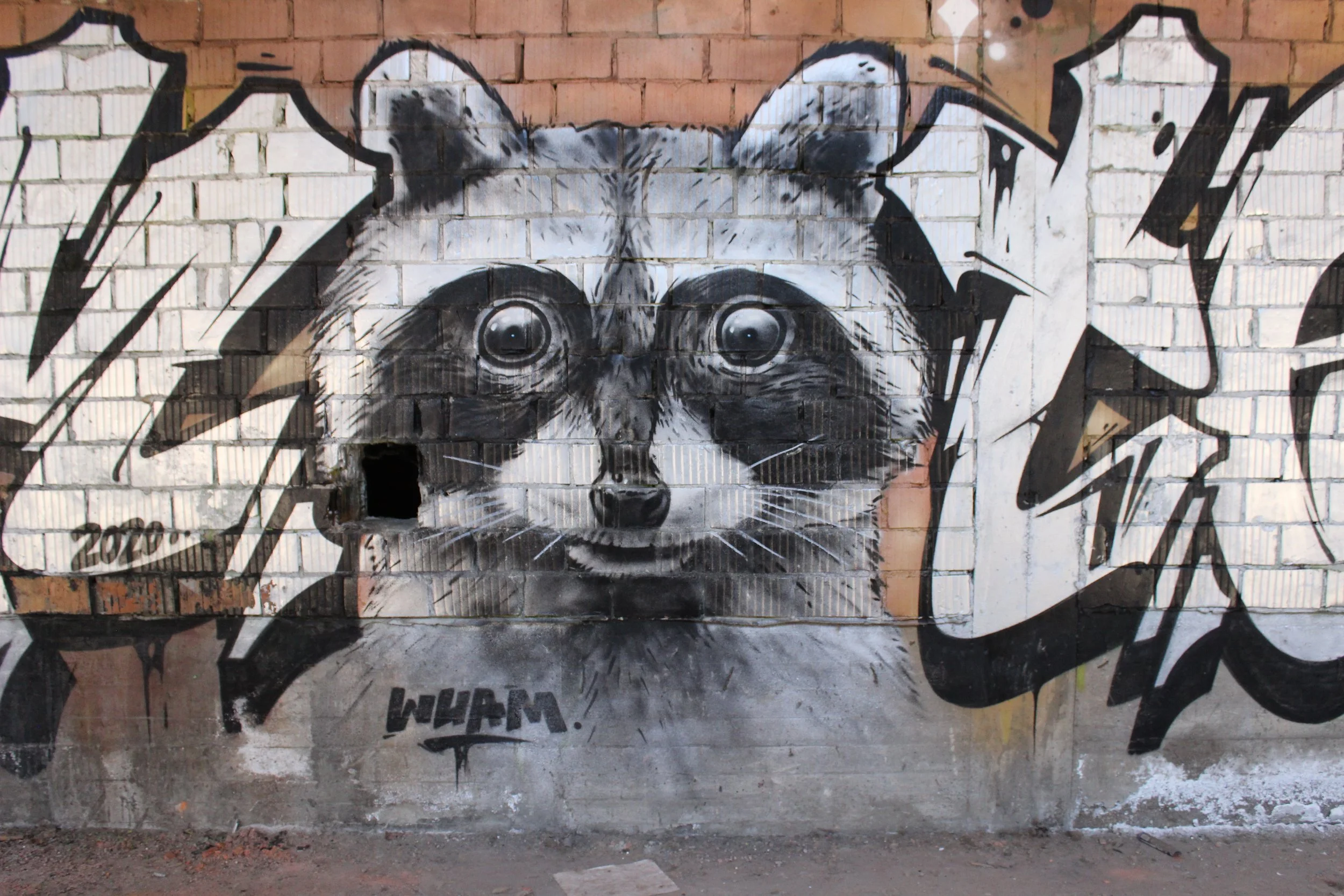 Graffiti eines Waschbären mit großen, leuchtenden Augen auf einer Ziegelwand.