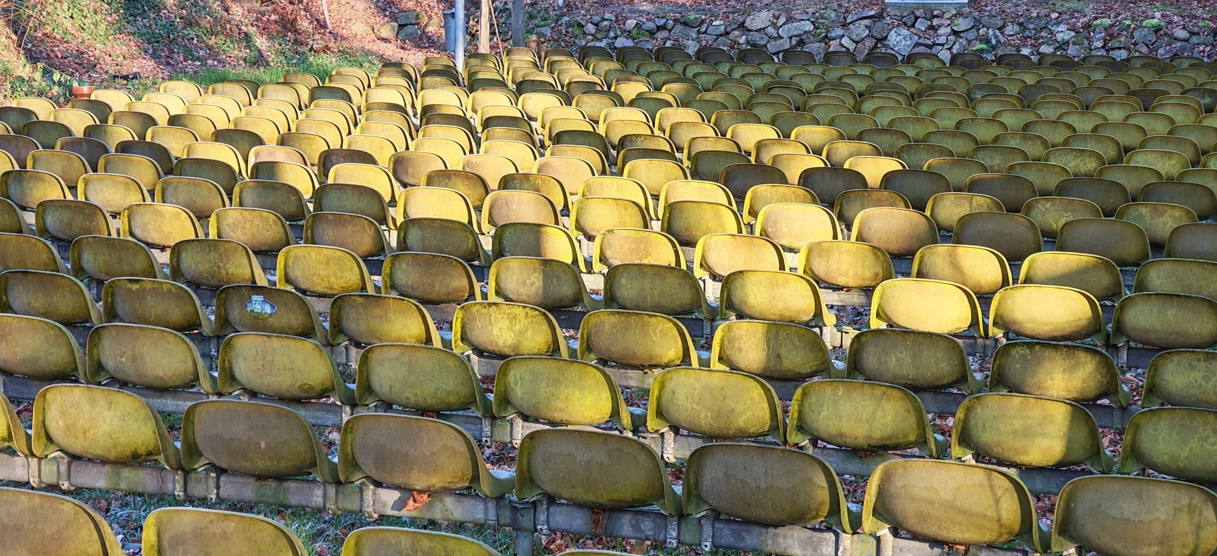 Verlassene Theaterbänke im Freien, überwachsen mit Moos und Laub, bei Sonnenlicht