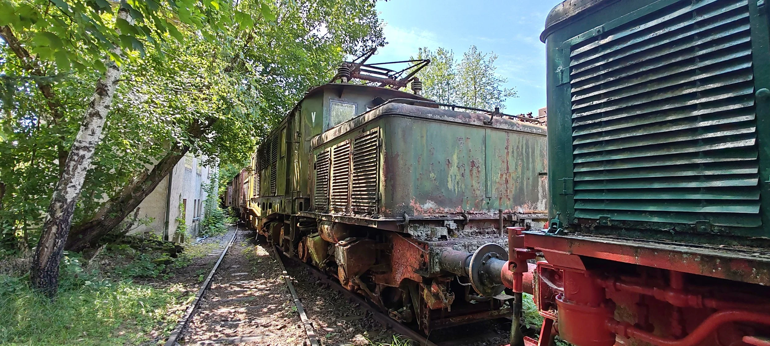 Verfallene grüne Dampflok auf alten Schienen, umgeben von Bäumen und Pflanzen, auf einem stillgelegten Gleis im Freien.