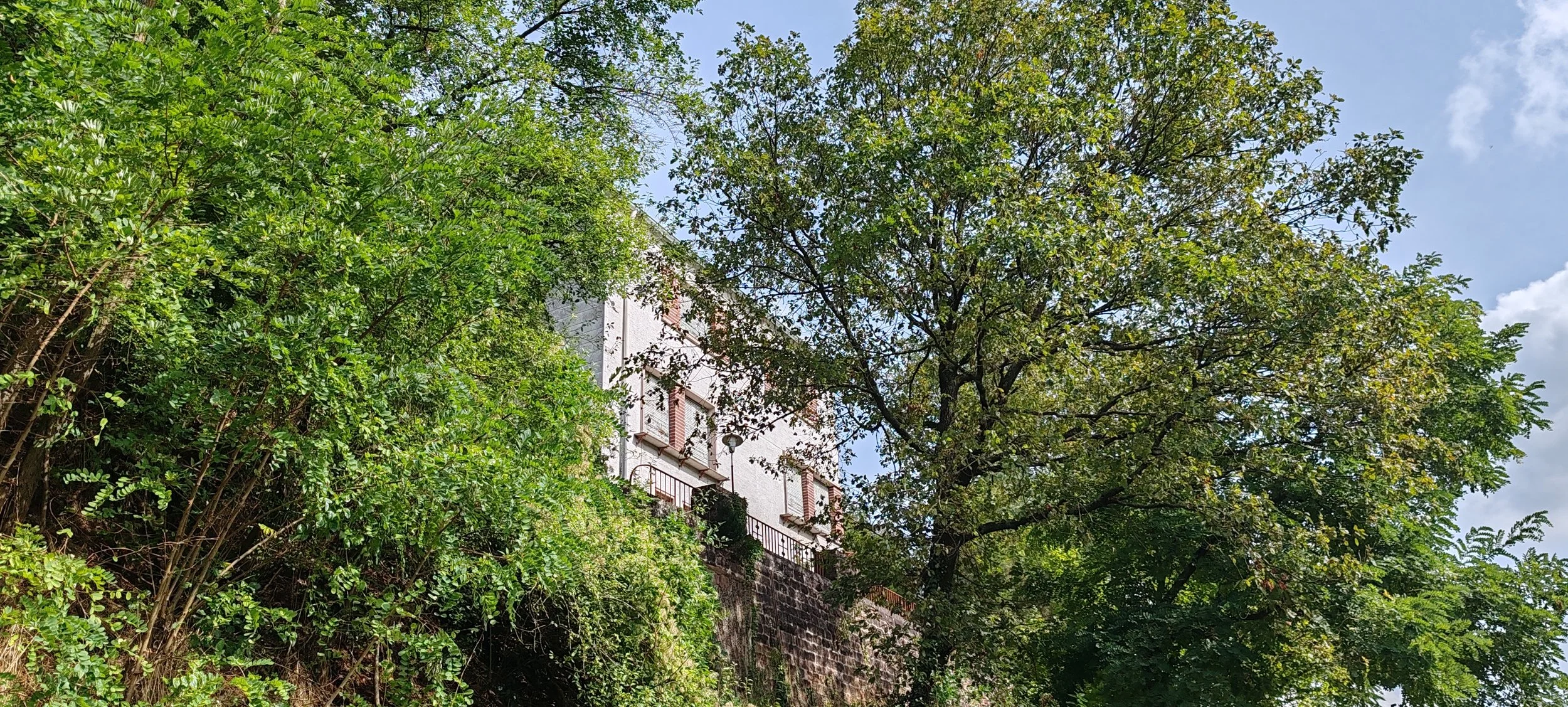 Ein Haus auf einem Hügel, umgeben von vielen grünen Bäumen, mit einem blauen Himmel im Hintergrund.