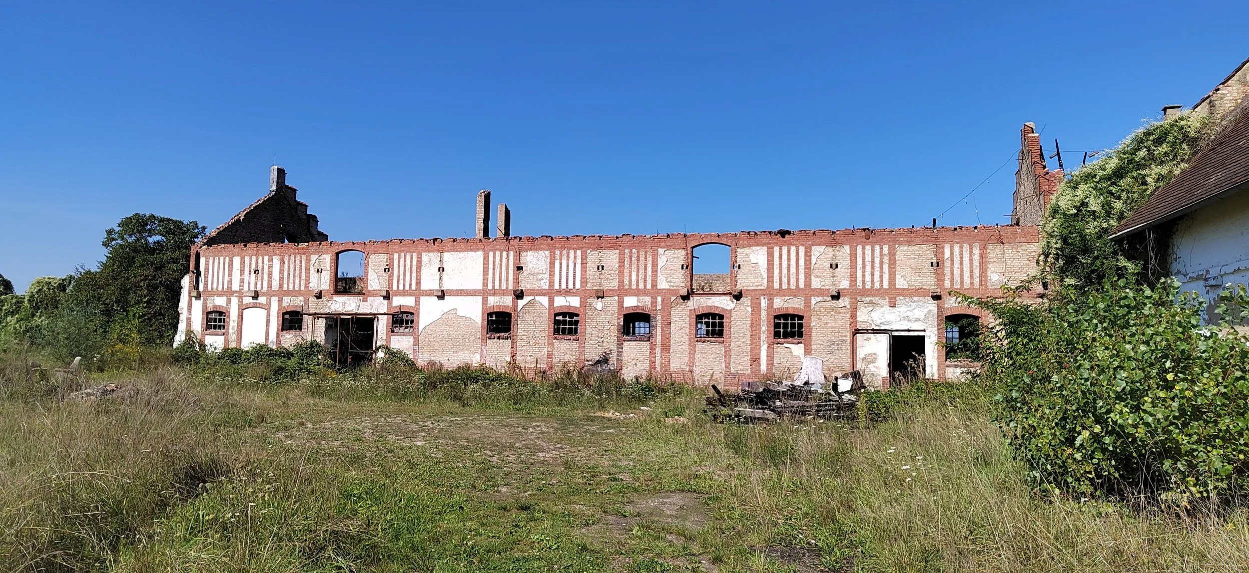 Verfallenes rotes Backsteingebäude im Grünen bei sonnigem Himmel.
