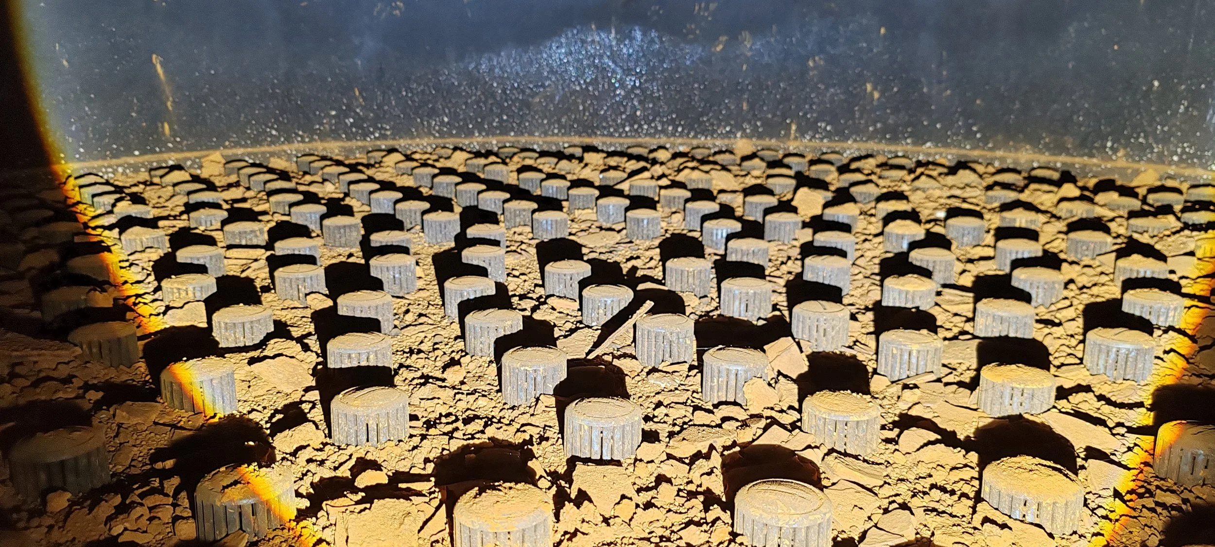Nahaufnahme eines ausgetrockneten Teichs mit vielen kleinen, weißen, runden, gewölbten Bodenplatten, die durch Risse voneinander getrennt sind, darunter dunkle Flächen. Im Hintergrund ist eine karge, dunkle Wand zu sehen.