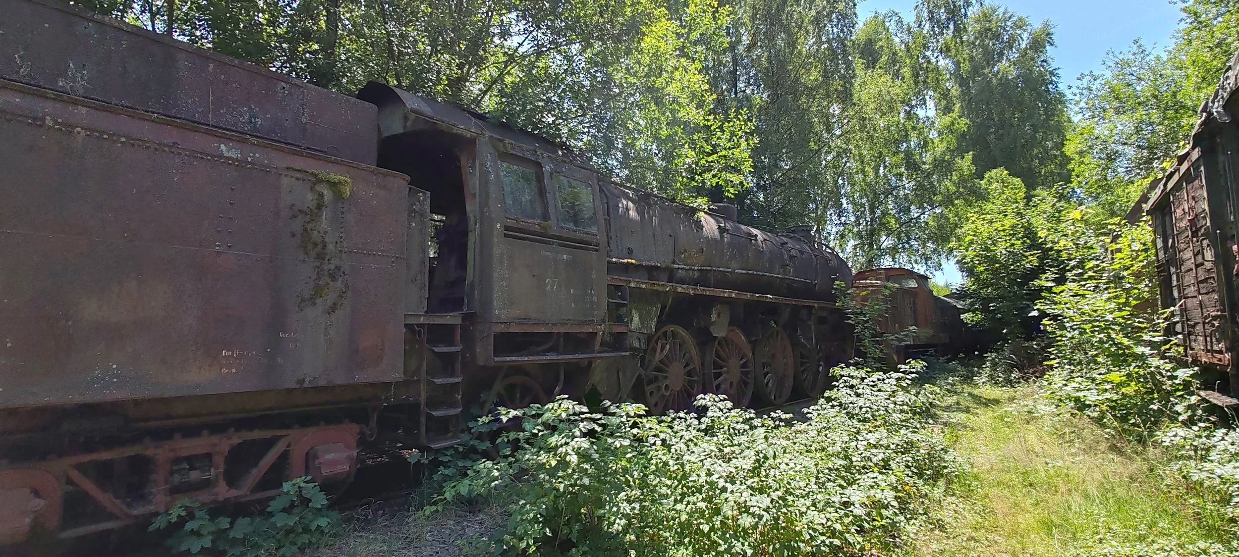 Alte, verrostete Dampflokomotive im Freien, überwuchert von Pflanzen und umgeben von grünen Bäumen.