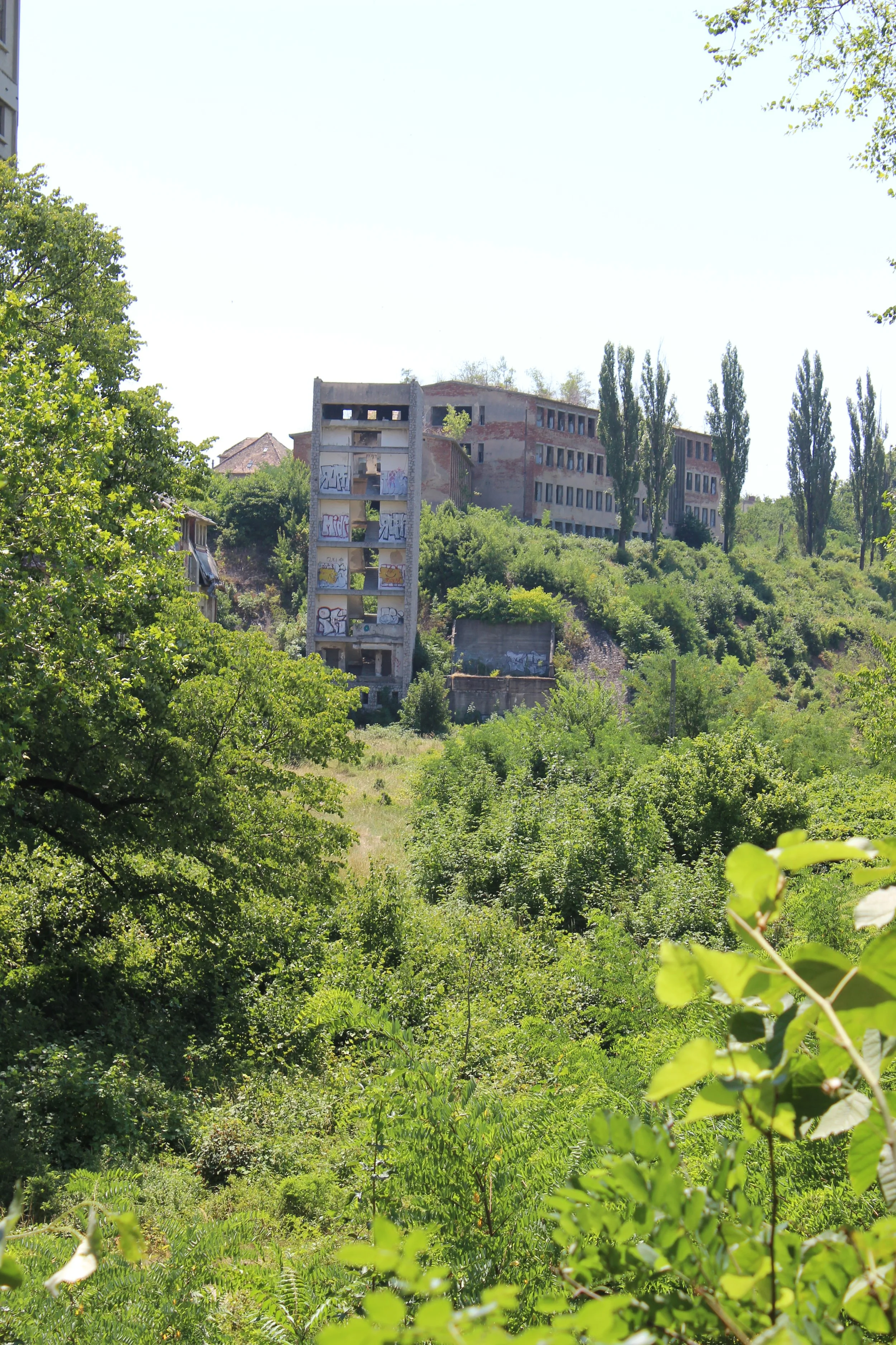 Verlassene, verfallene Gebäude auf einem Hügel, umgeben von üppigem grünen Pflanzen- und Baumvegetation, mit graffiti-bedecktem Hochhaus im Vordergrund.