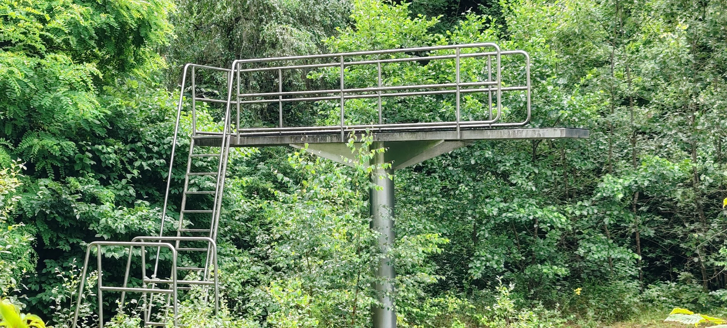 Ein metallener Aussichtspunkt auf einem Pfosten, umgeben von dichtem grünen Laub im Wald.