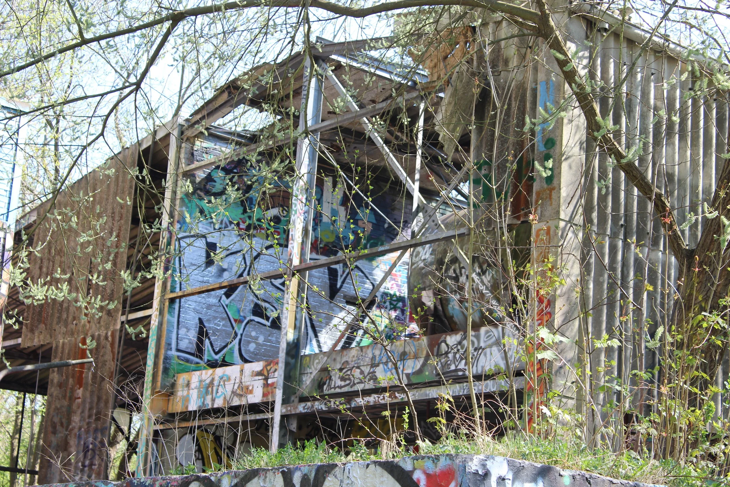 Verfallenes, mit Graffiti bemaltes Holzhaus, umgeben von Bäumen und Wiesen in einem urbanen Gebiet.