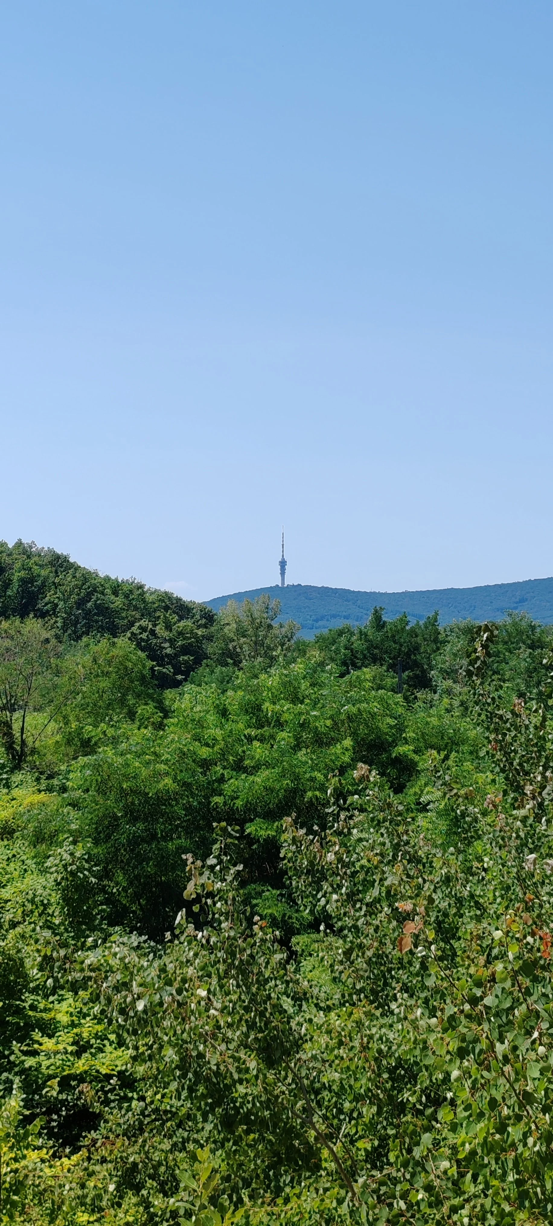 Blick auf einen grünen hügeligen Wald unter einem blauen Himmel mit einem Fernsehturm auf einem entfernten Hügel.