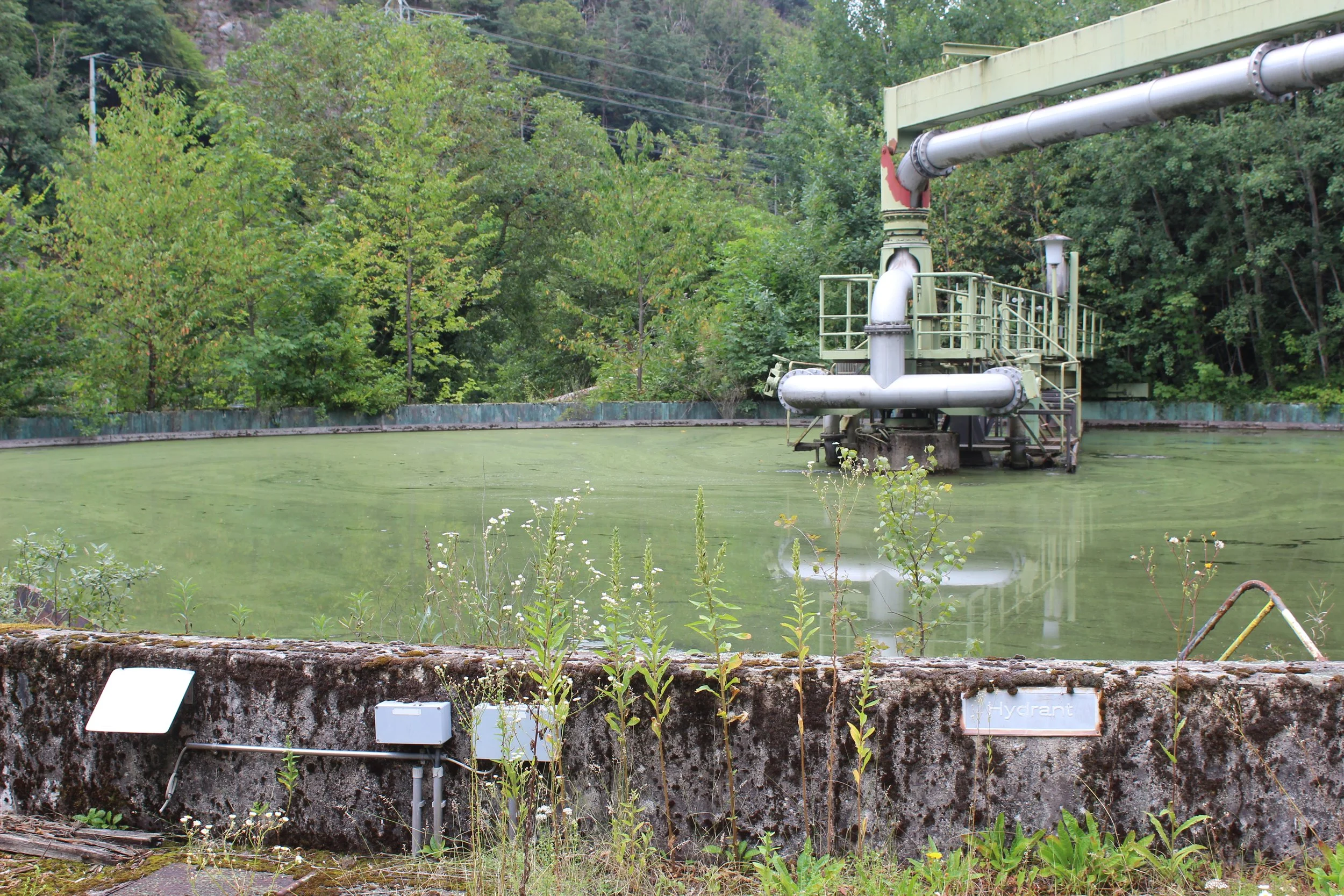 Veralteter Wasserreservoir mit grünem Wasser und Industrieanlagen, umgeben von Bäumen.