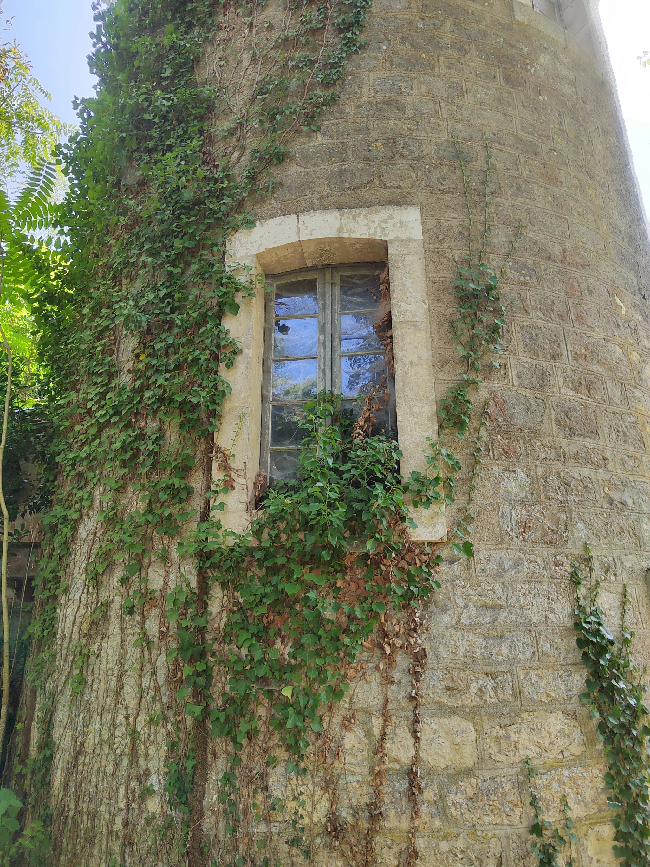 Alte Steinzäune mit einer kleinen, schmutzigen Fenster in einem runden Turm, überwuchert mit grünen und braunen Efeu.