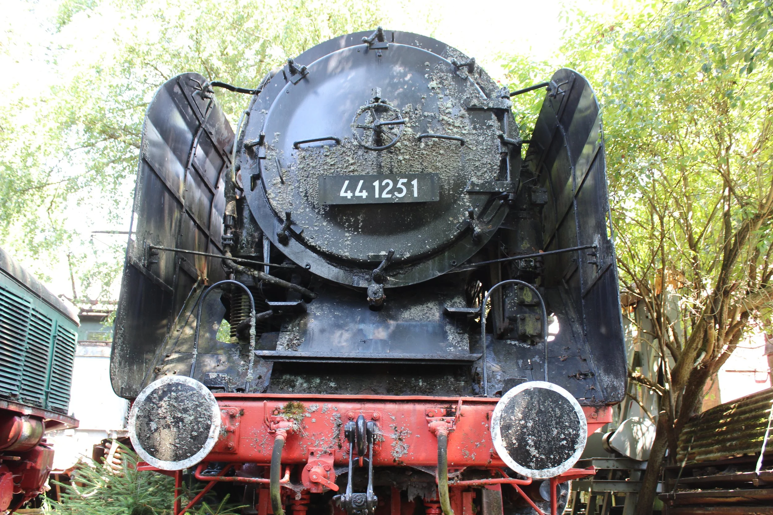 Alte Dampflok im Freien, umgeben von Bäumen und Pflanzen, mit Nummer 441251 auf der Front.